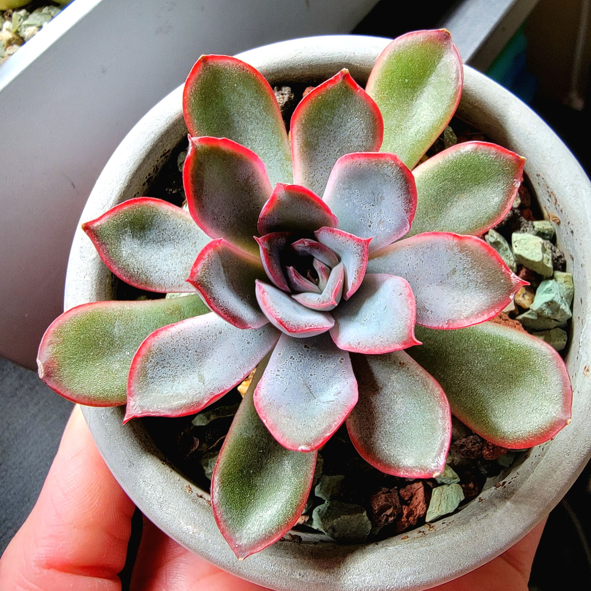 Photo from the post