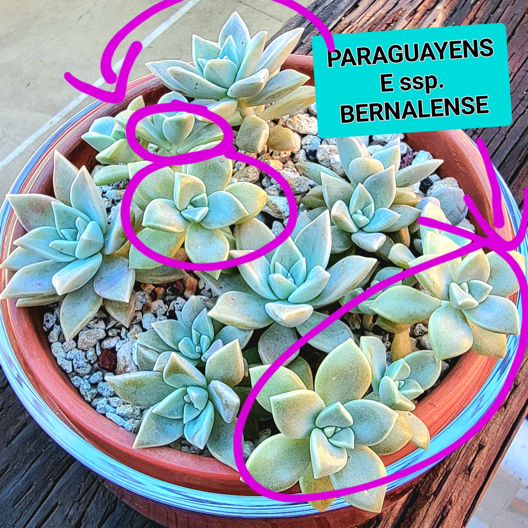 Photo from the post