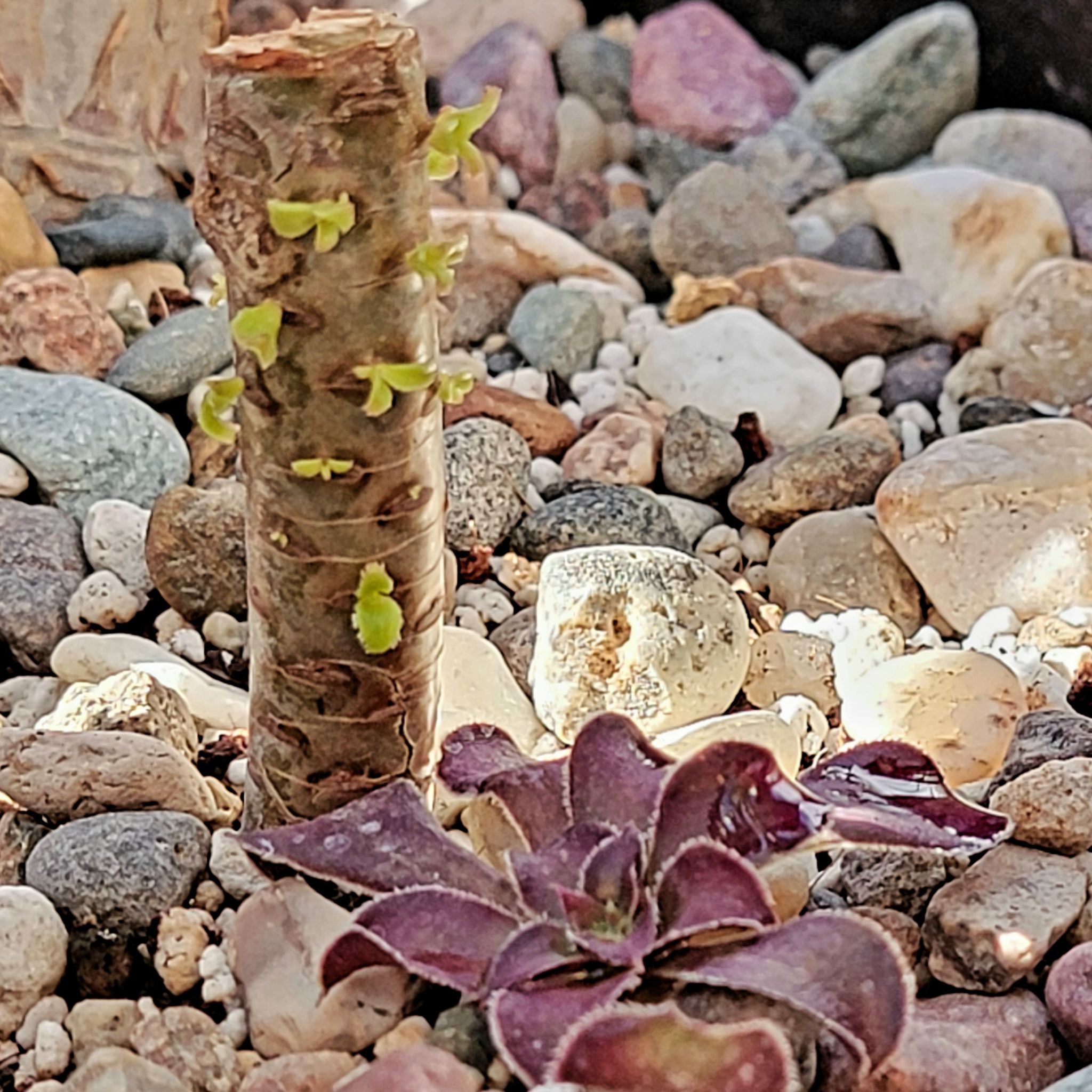 Photo from the post