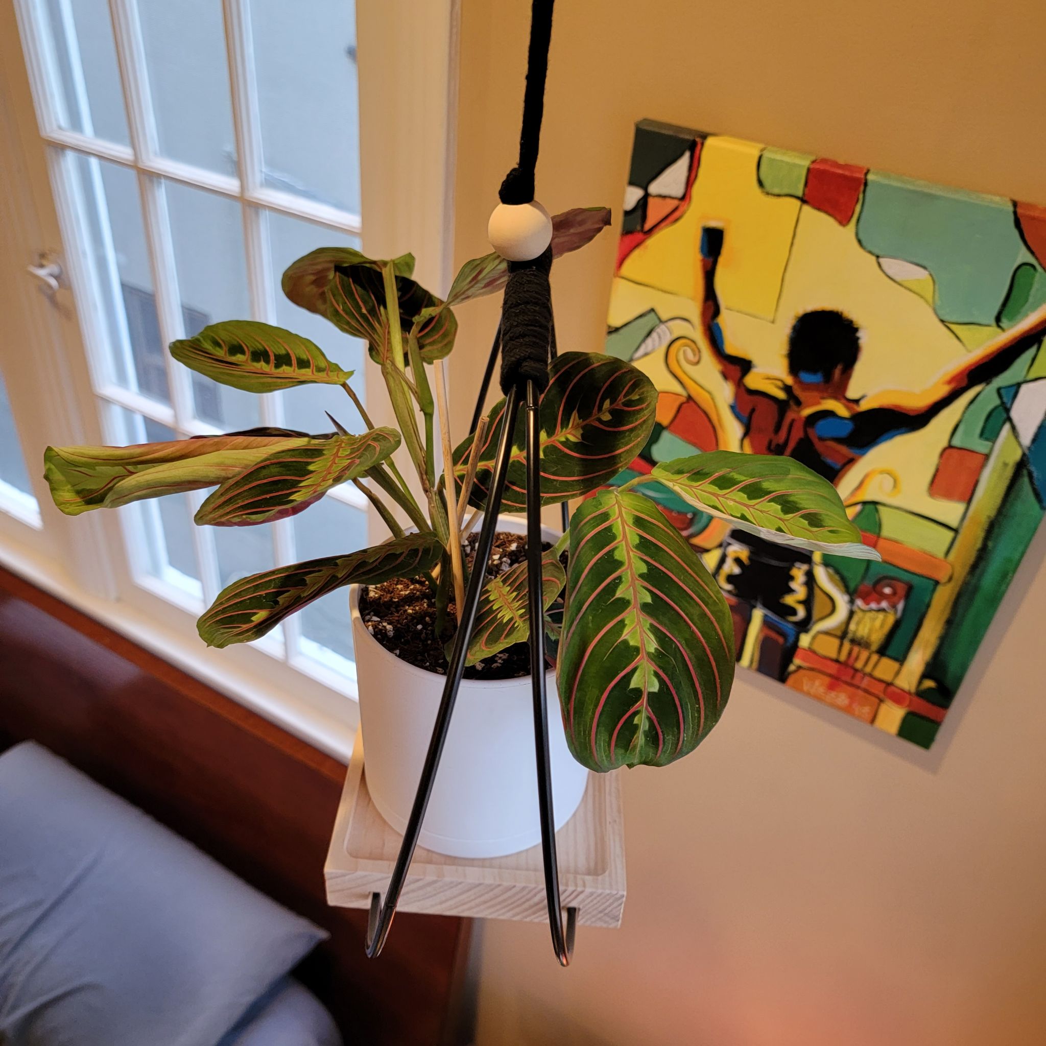 Photo from the post