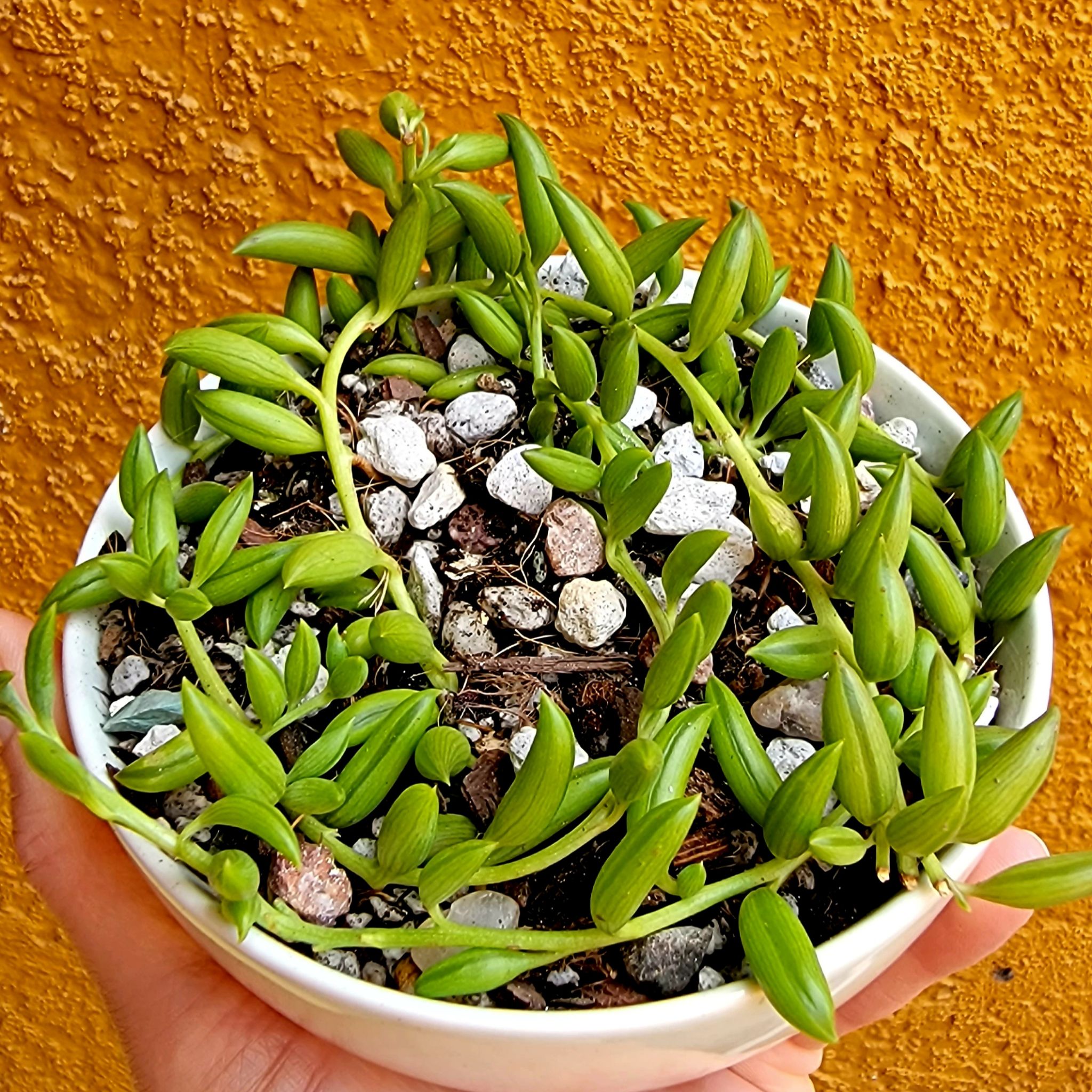 Photo from the post
