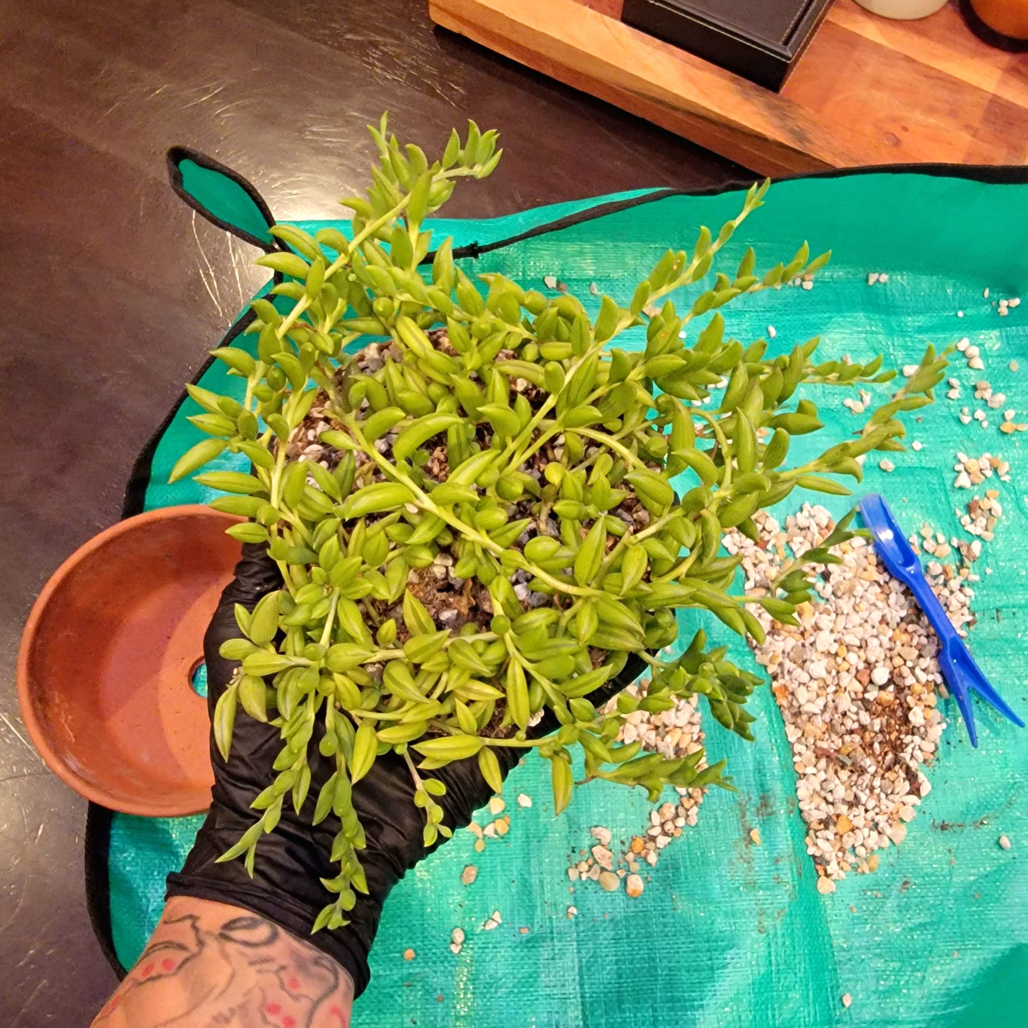 Photo from the post