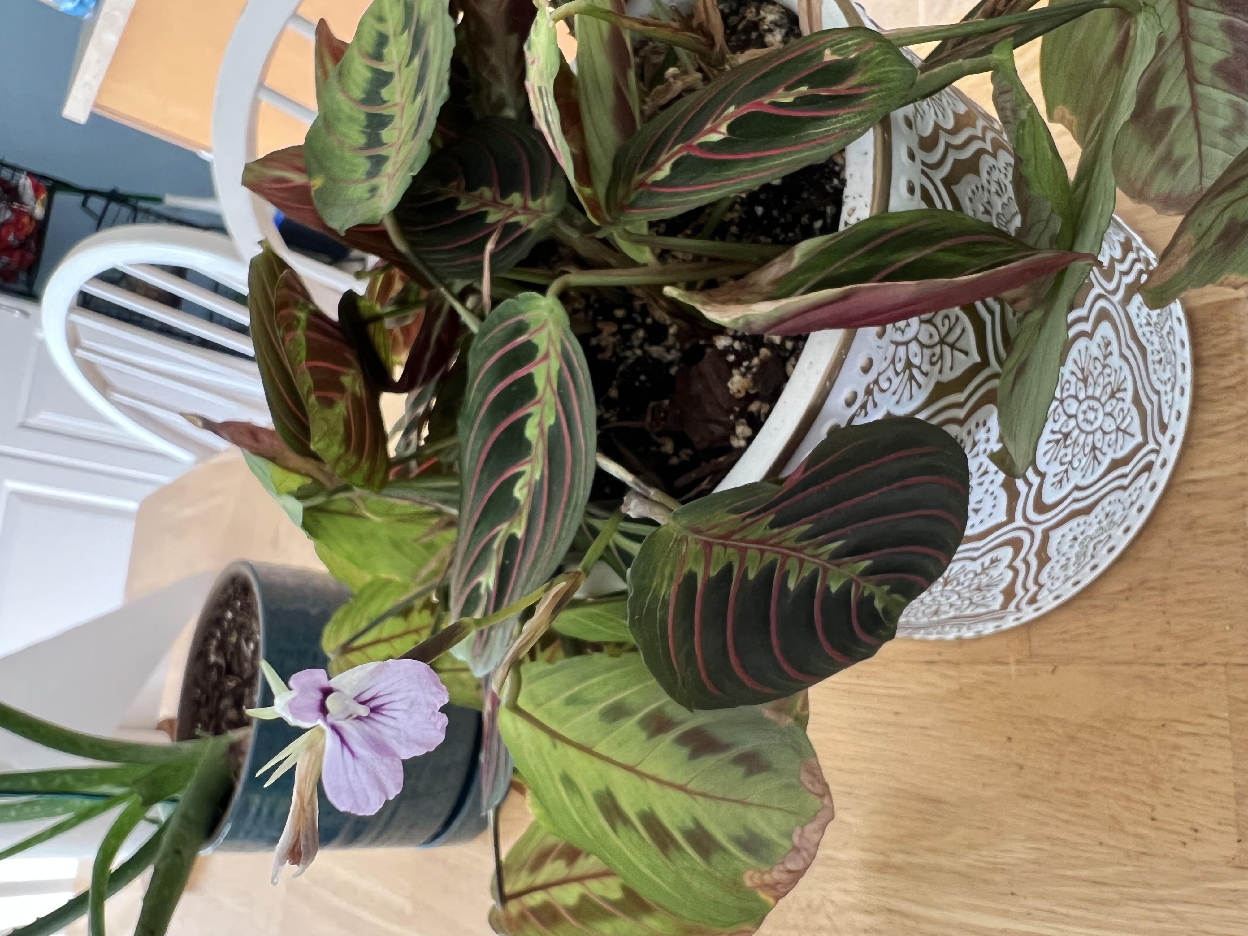Photo from the post