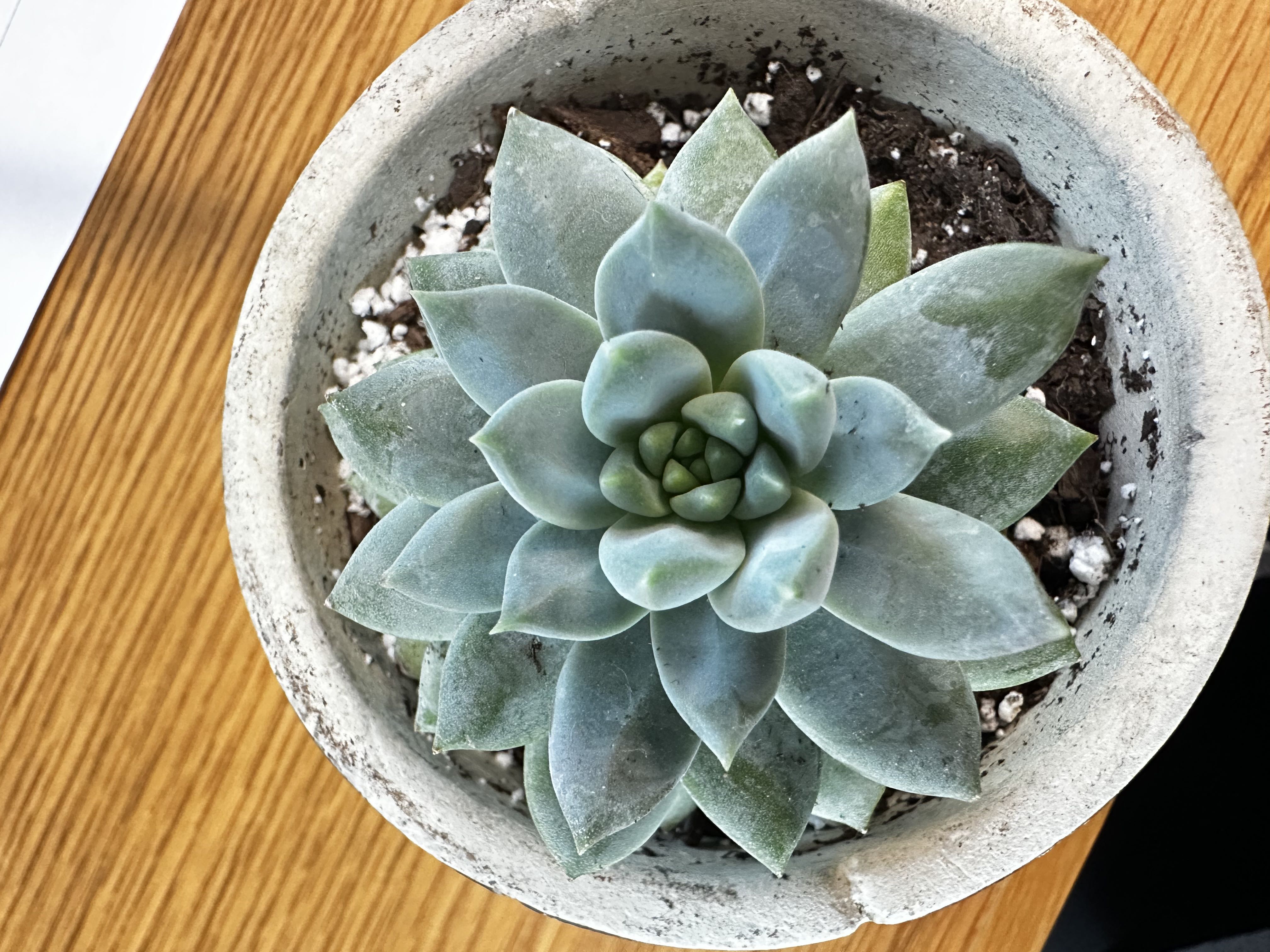 Photo from the post