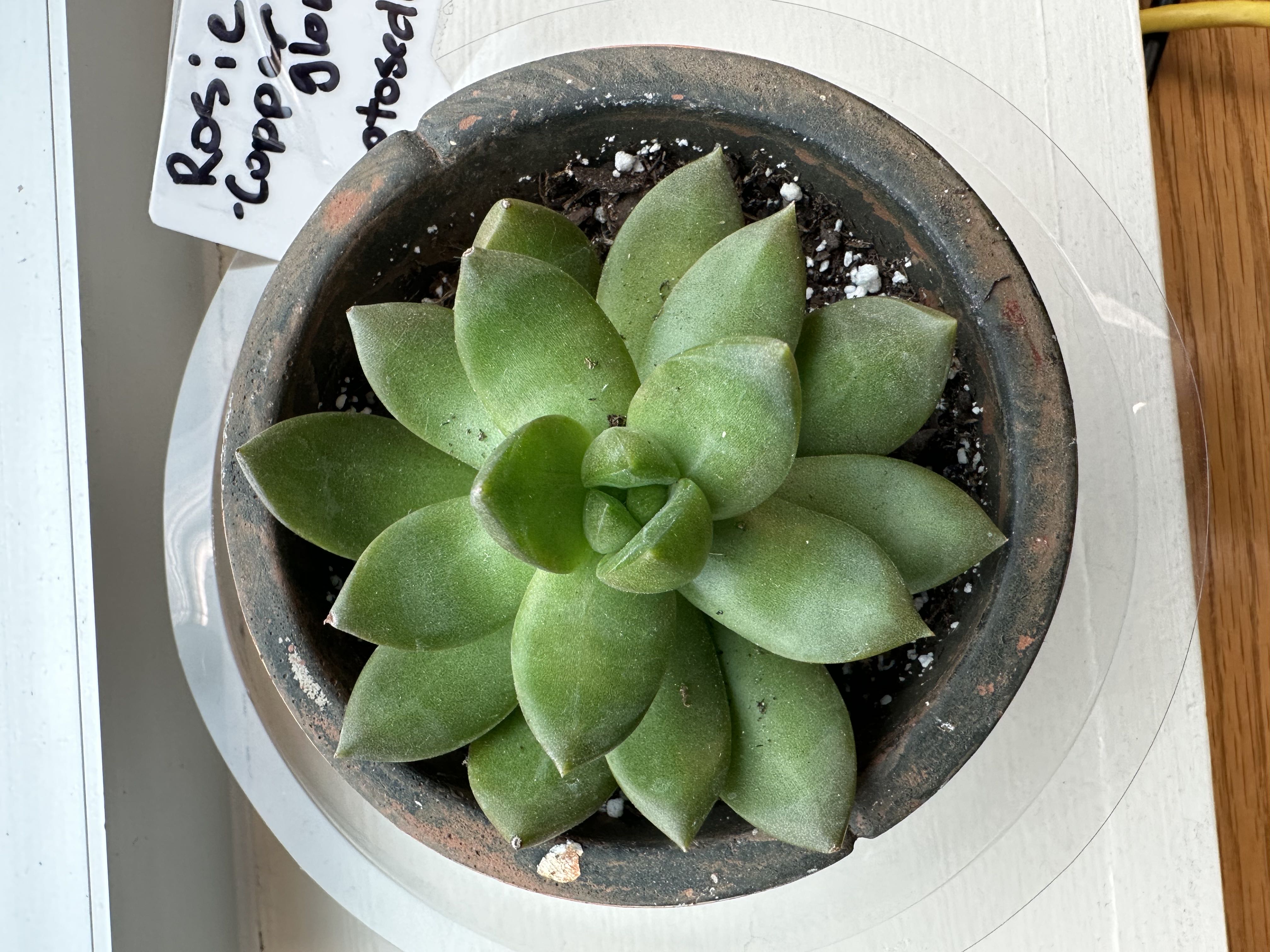 Photo from the post