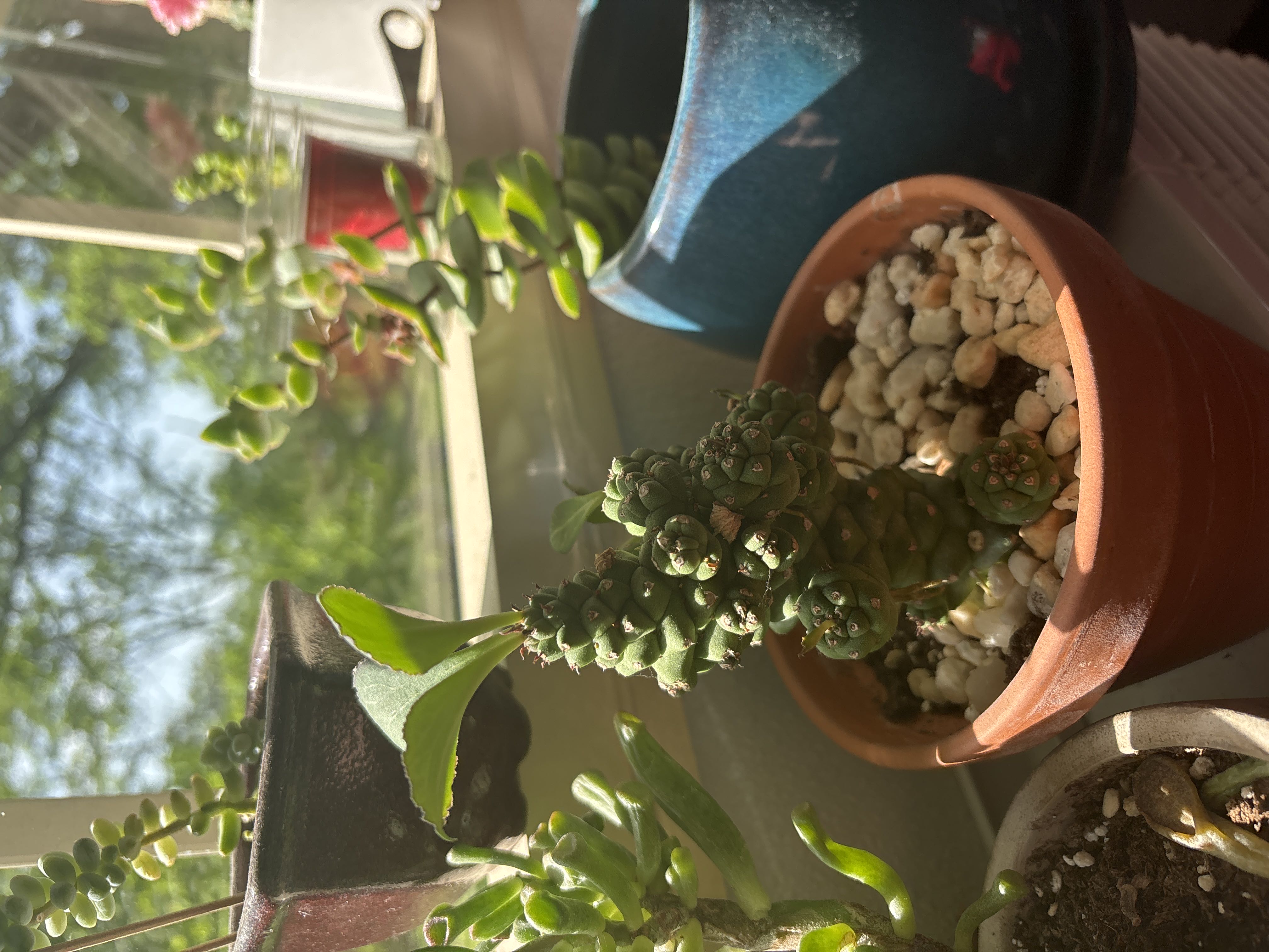 Photo from the post