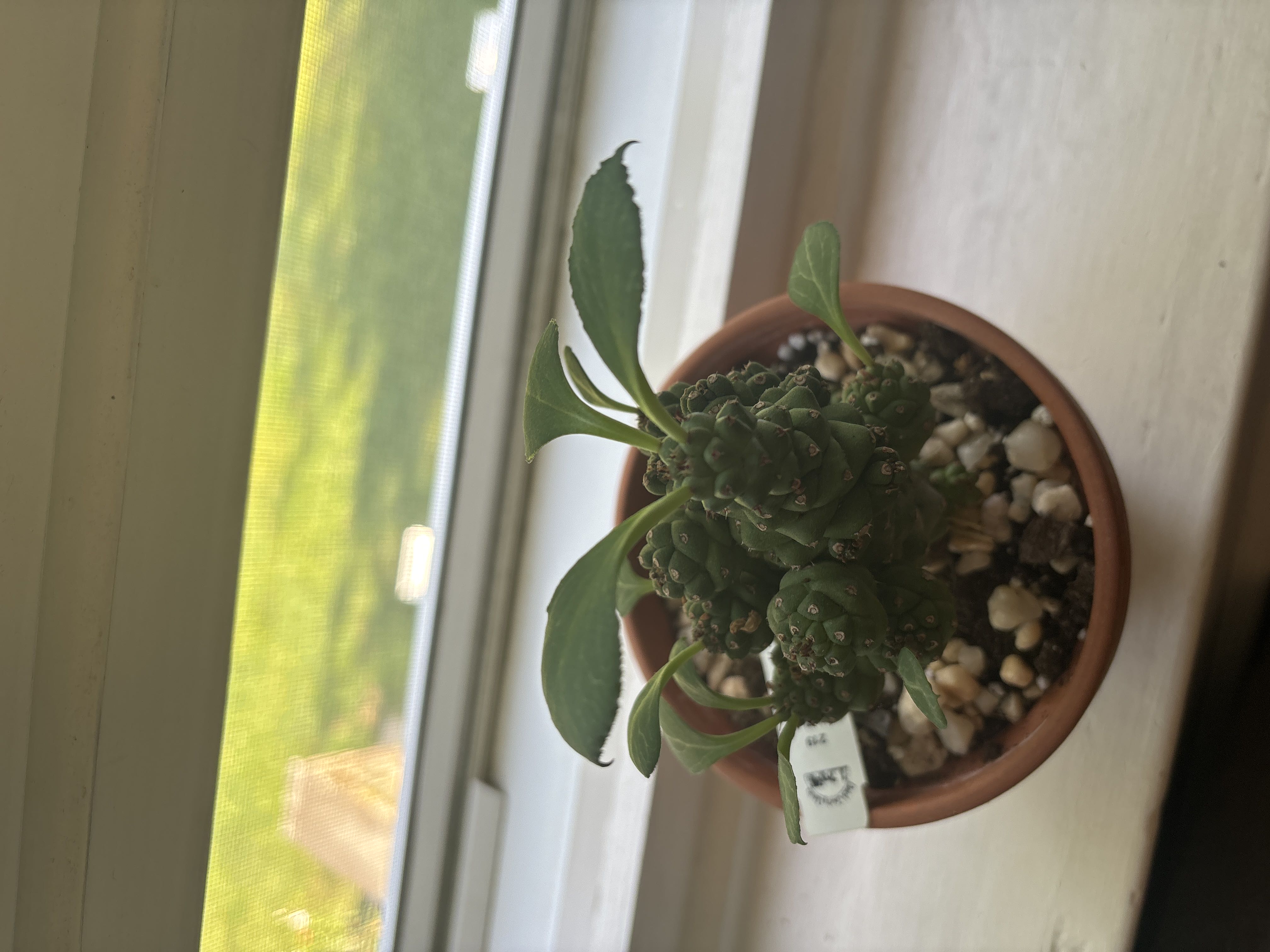 Photo from the post