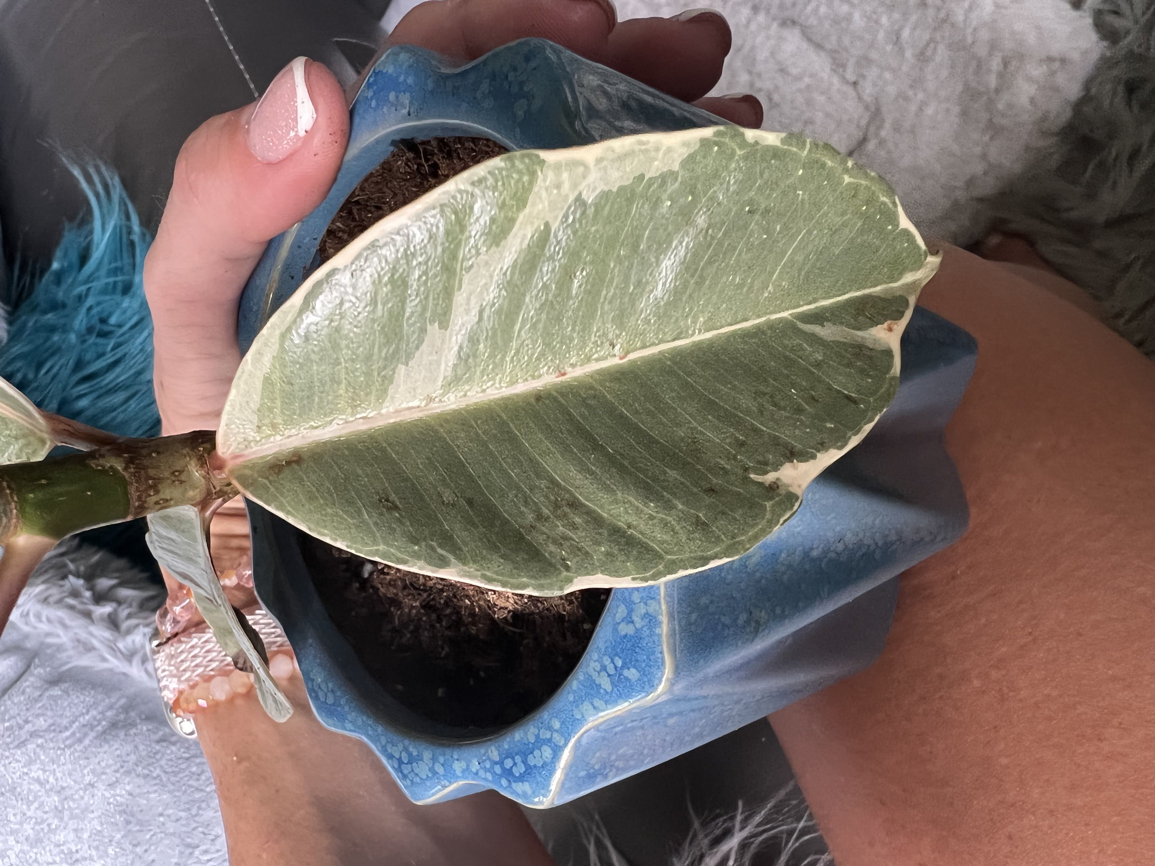 Photo from the post