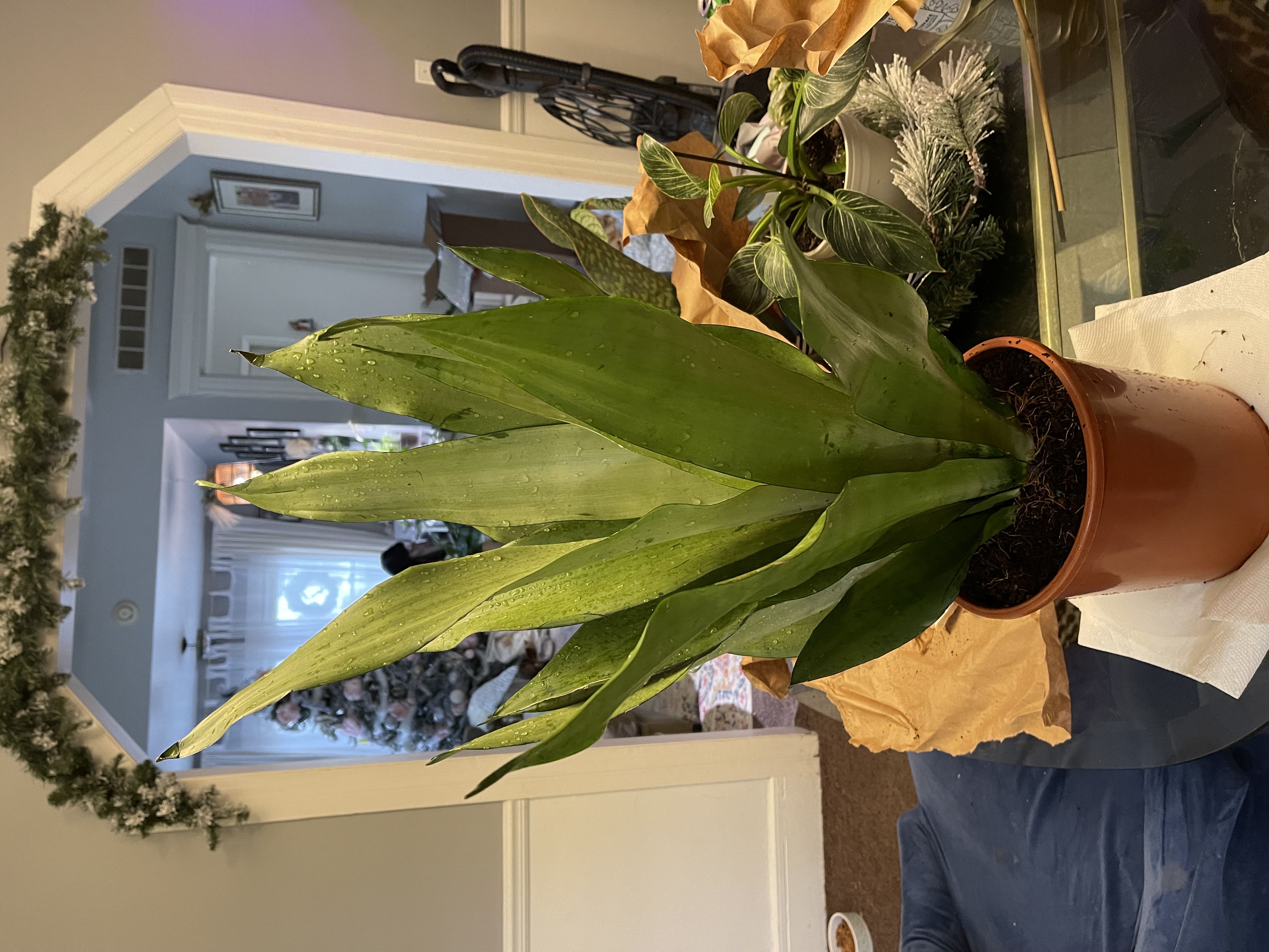 Photo from the post
