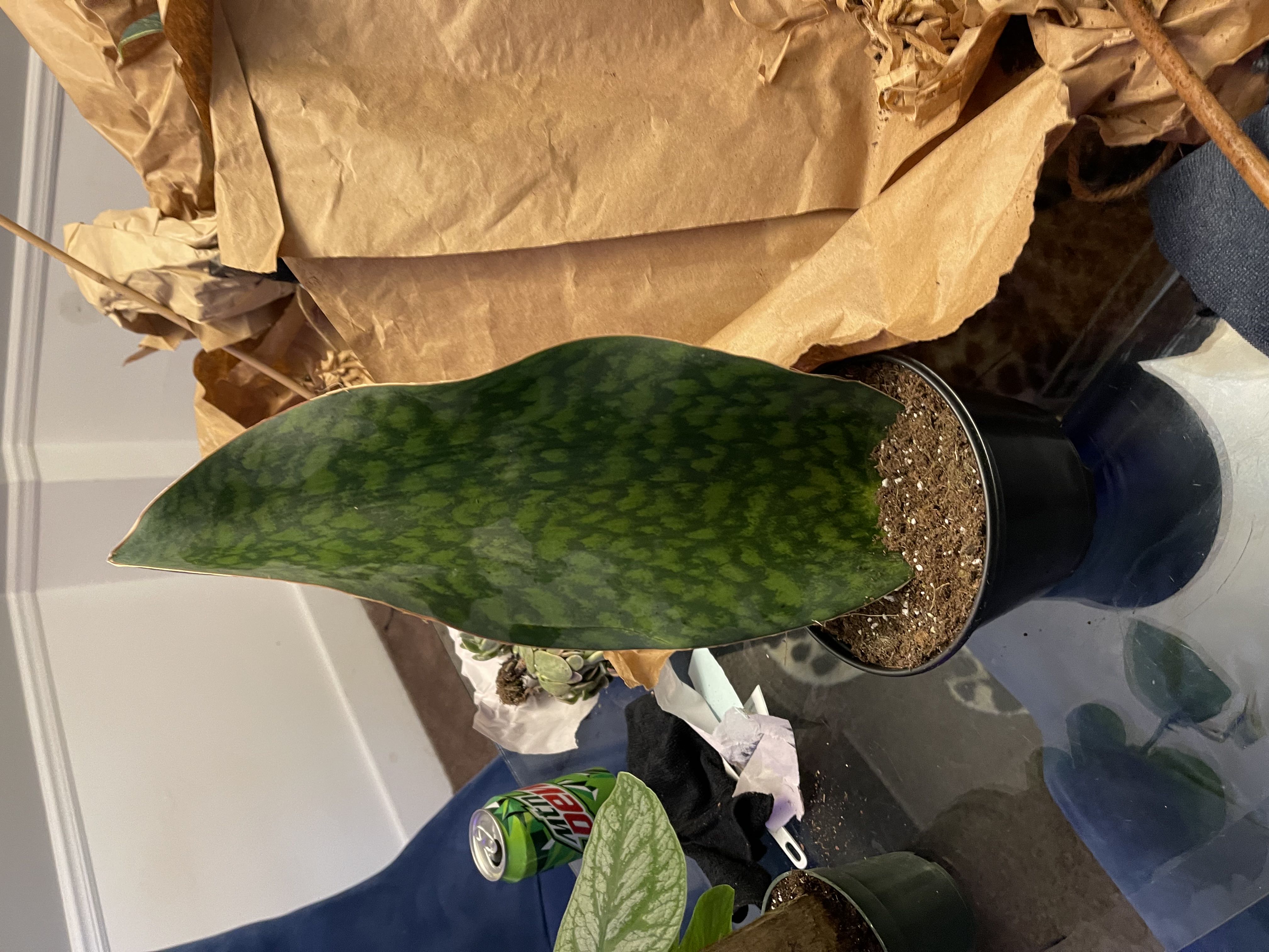 Photo from the post