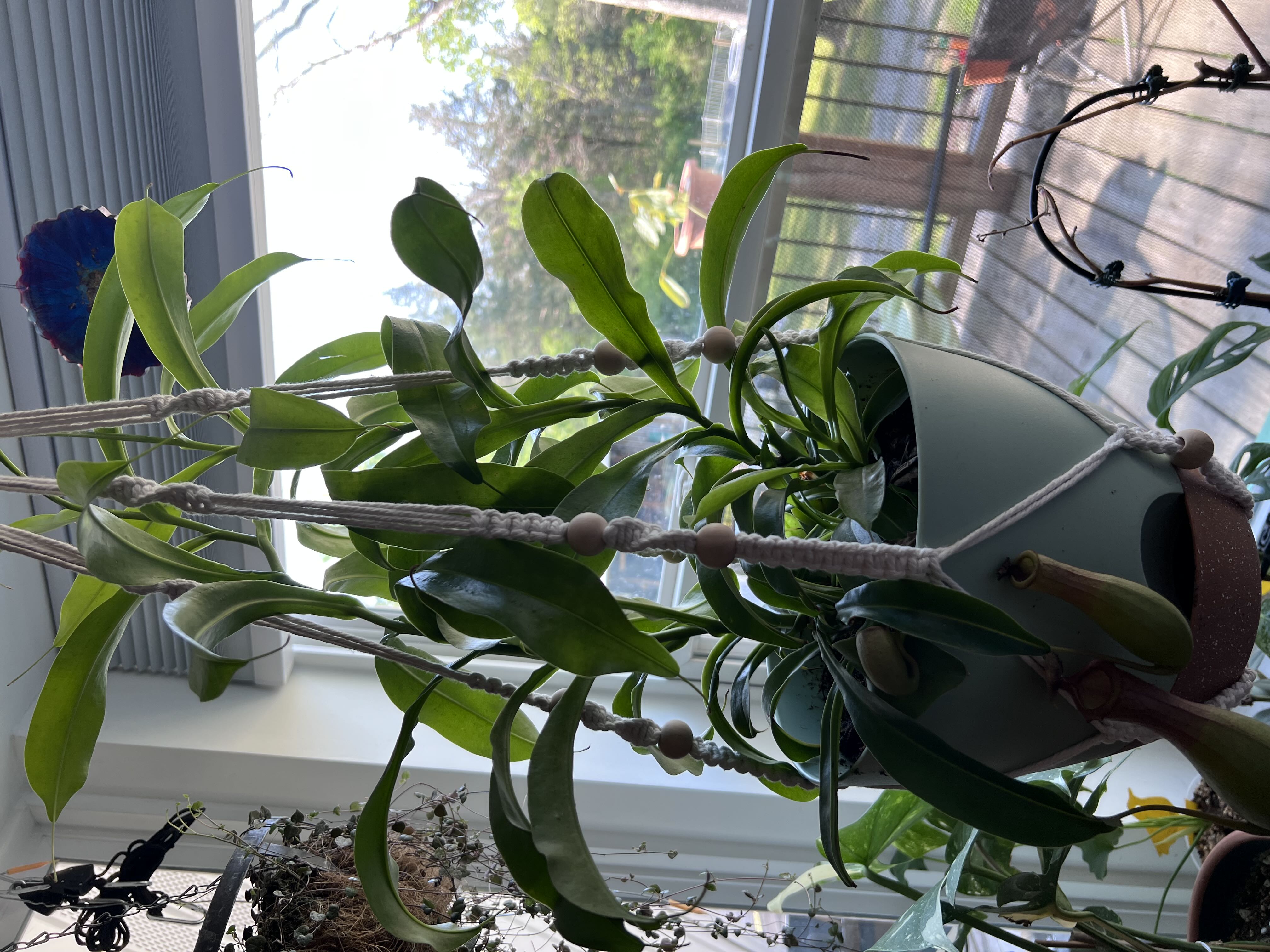 Photo from the post