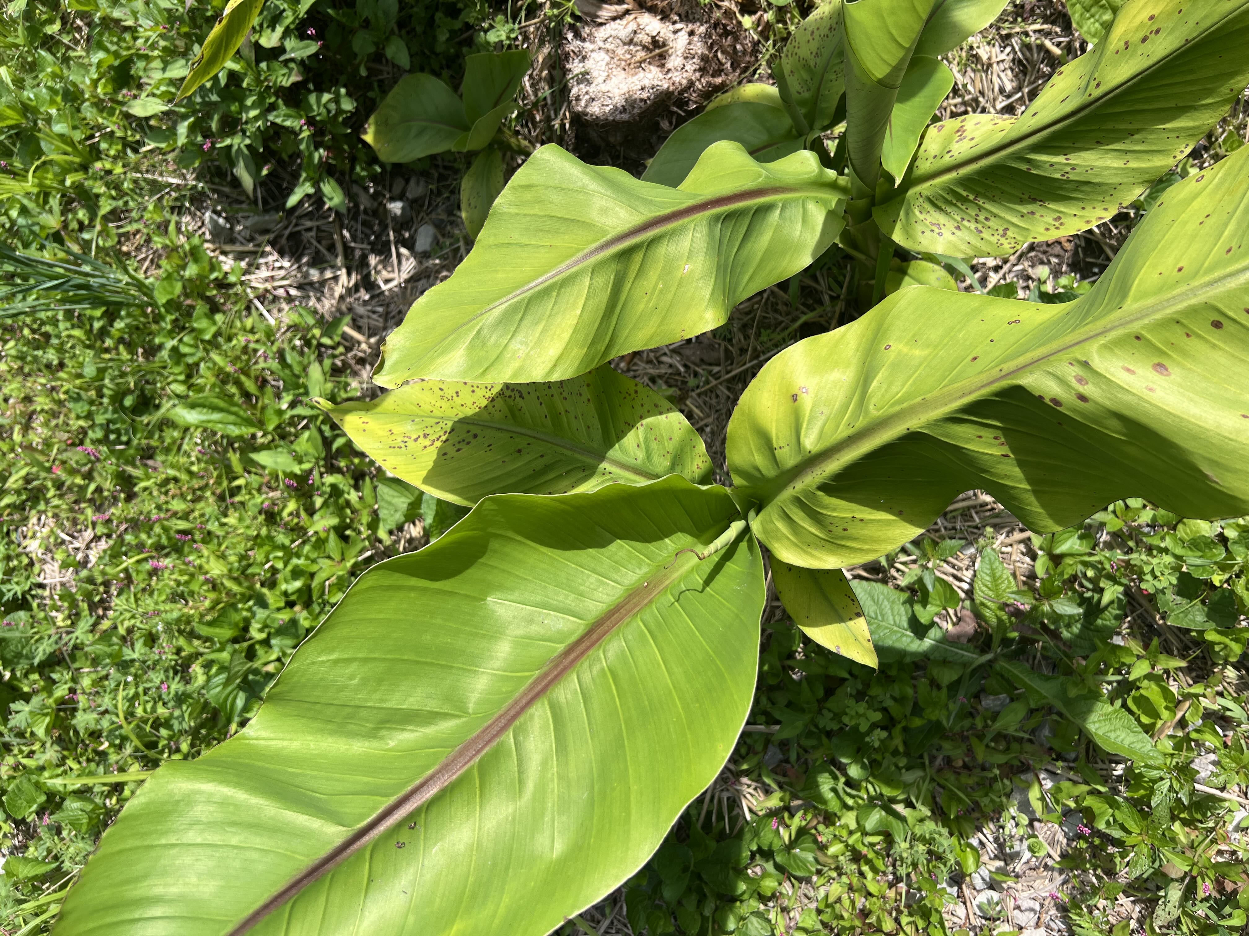 Photo from the post