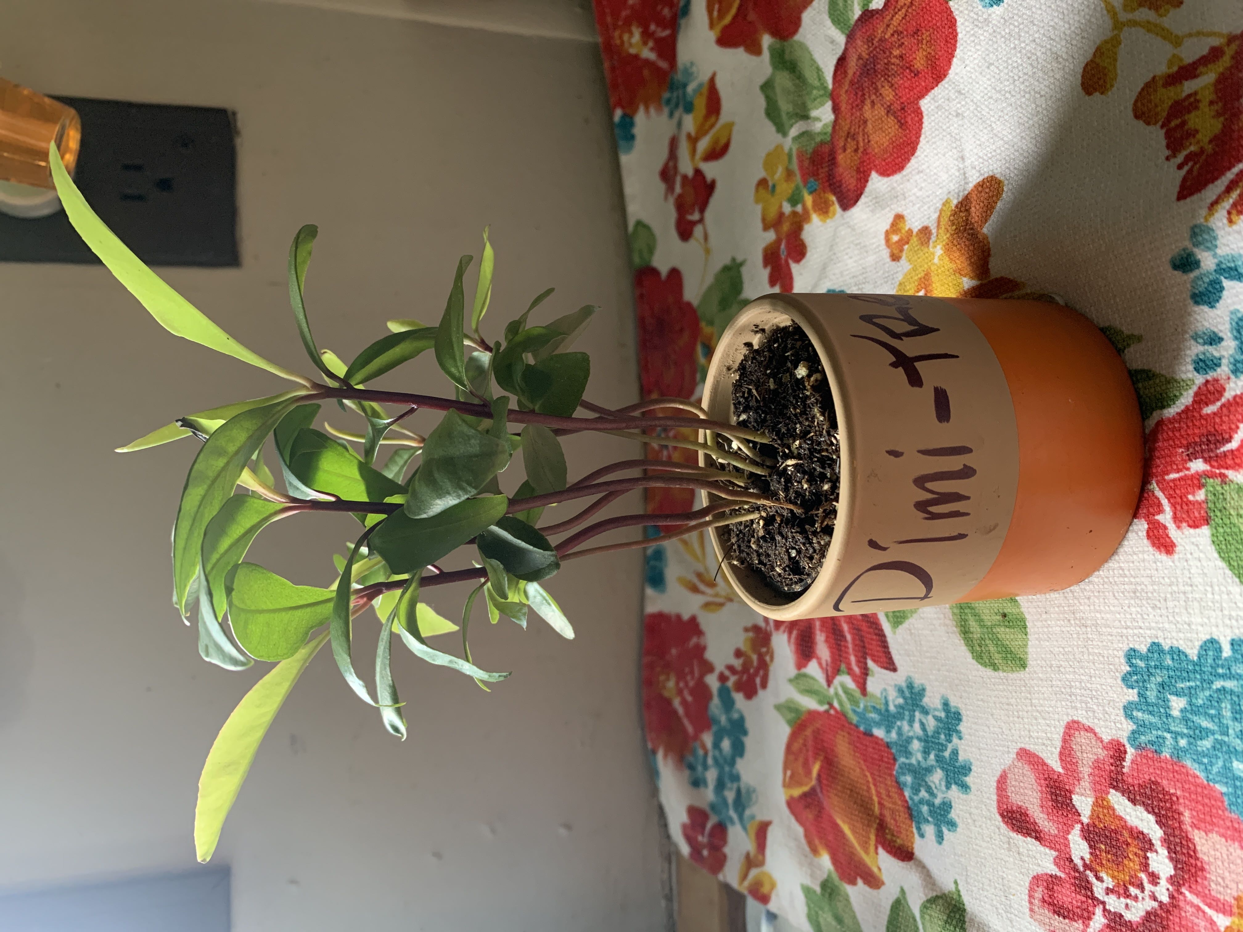 Photo from the post