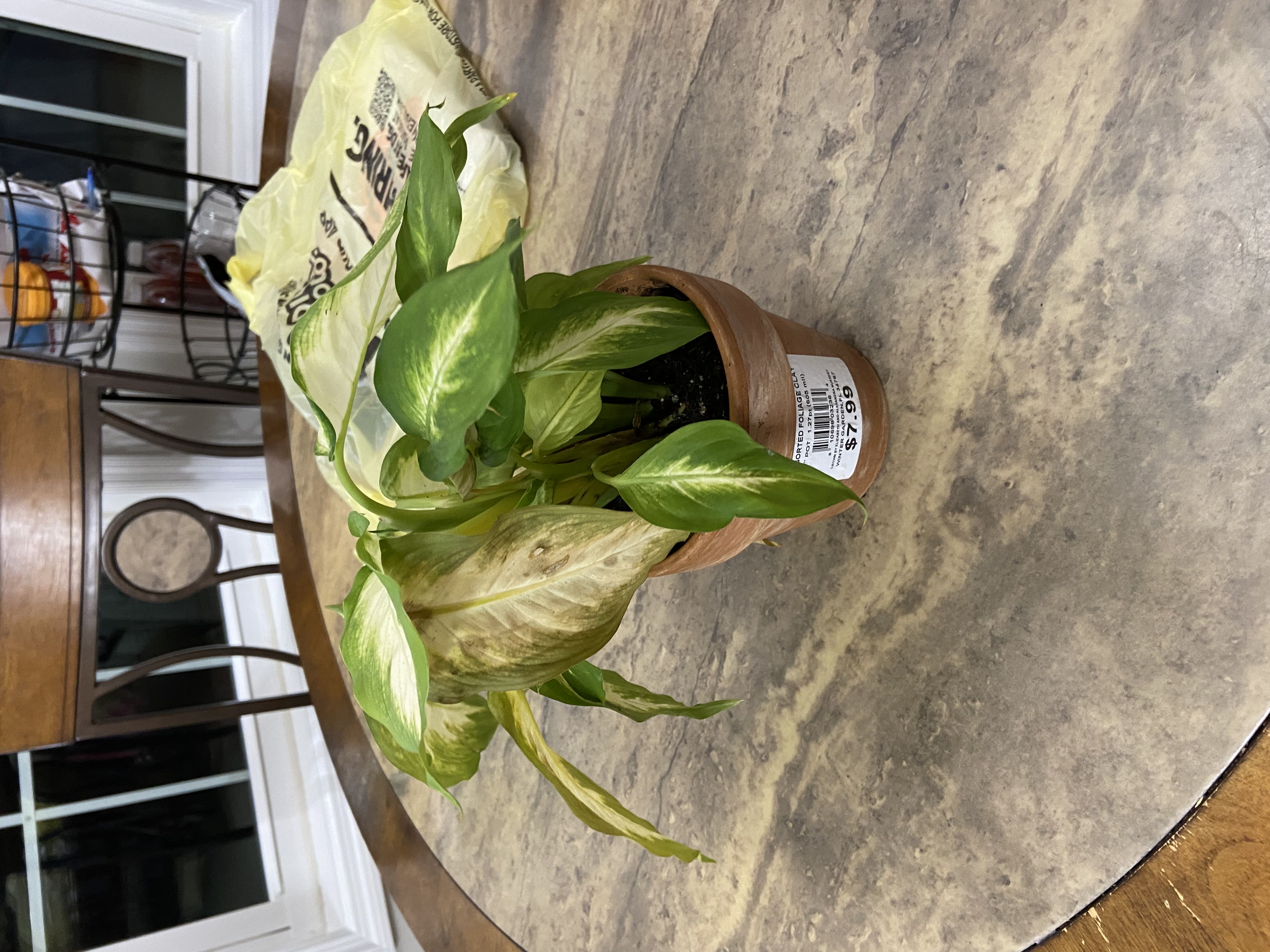 Photo from the post