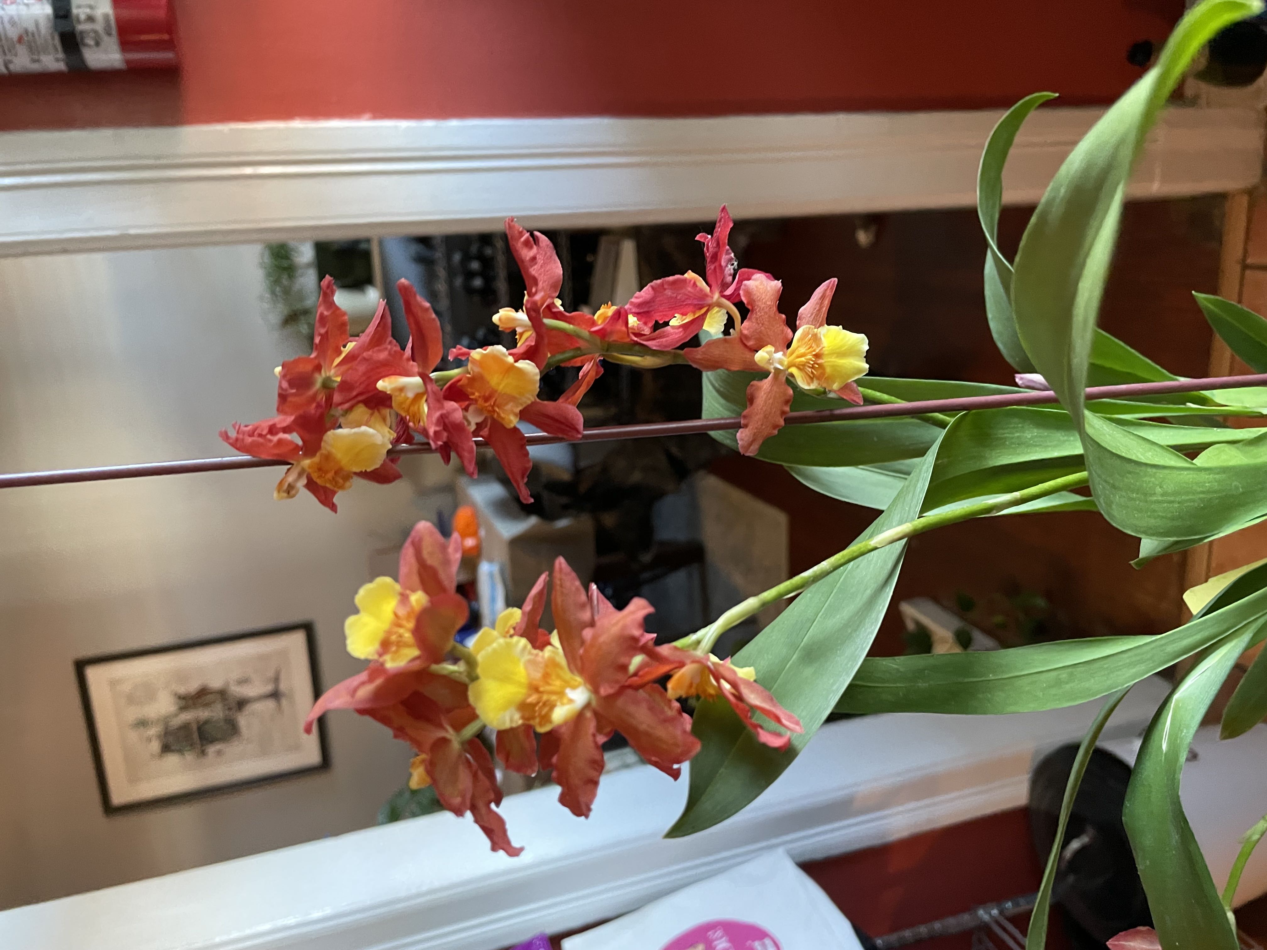 Photo from the post