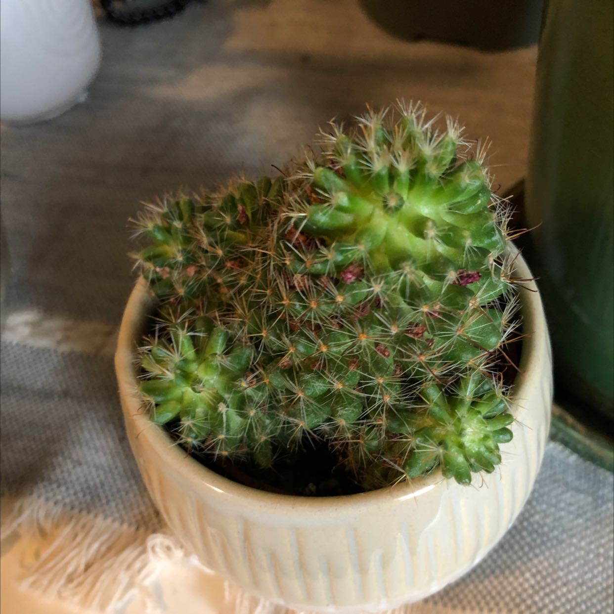 Bumble