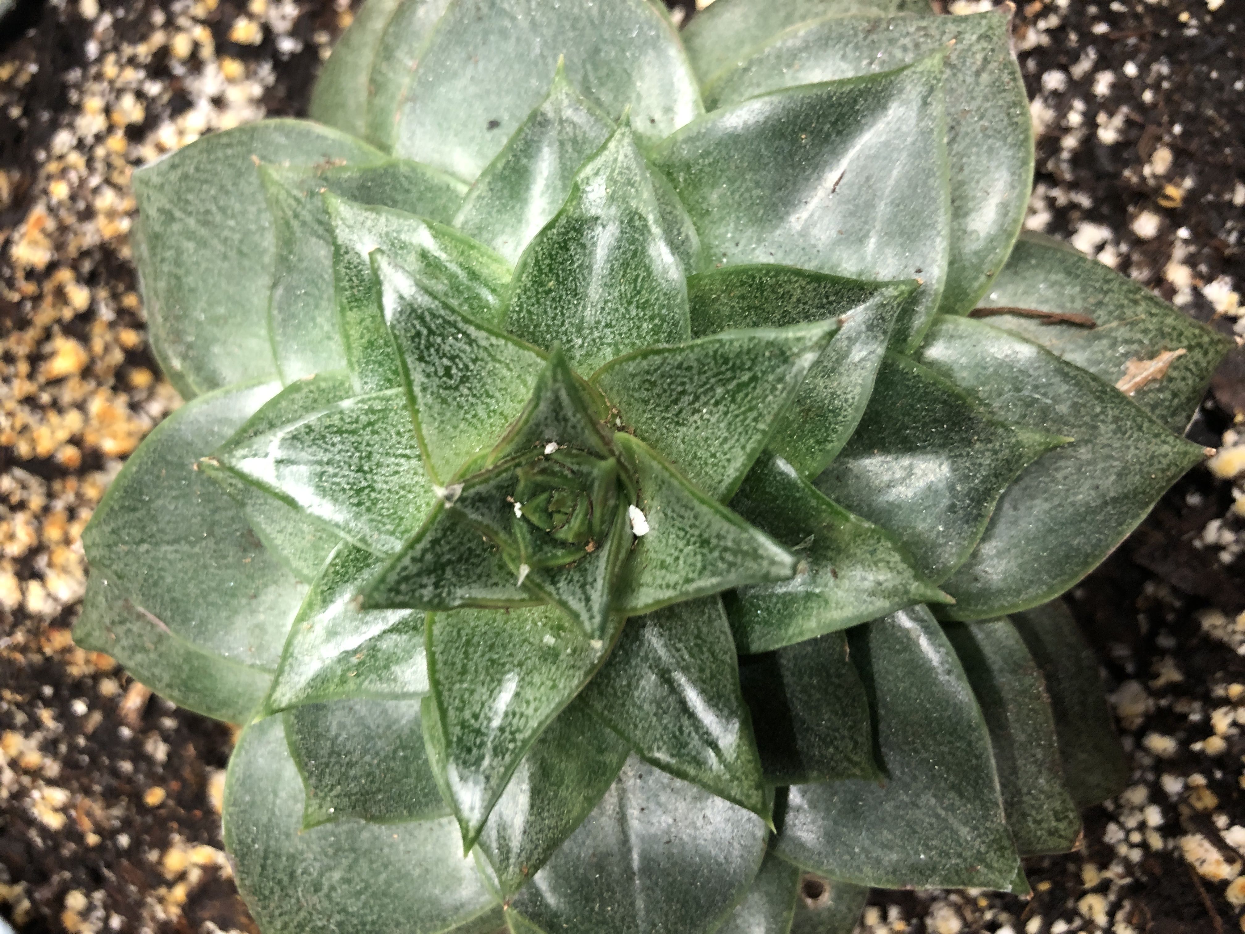 Photo from the post
