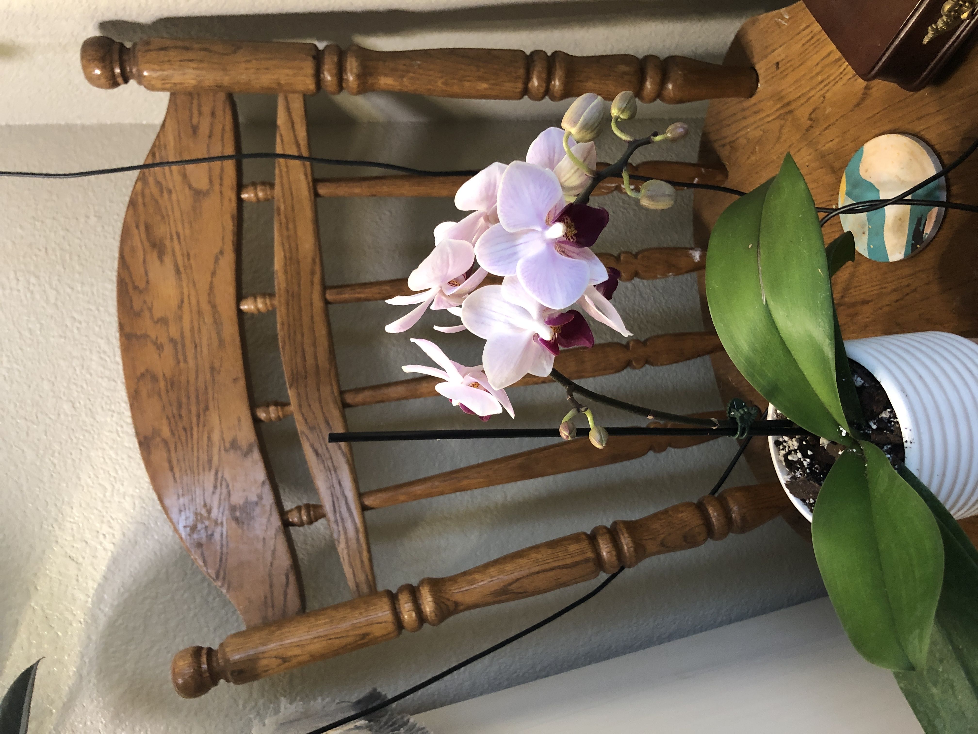 Photo from the post
