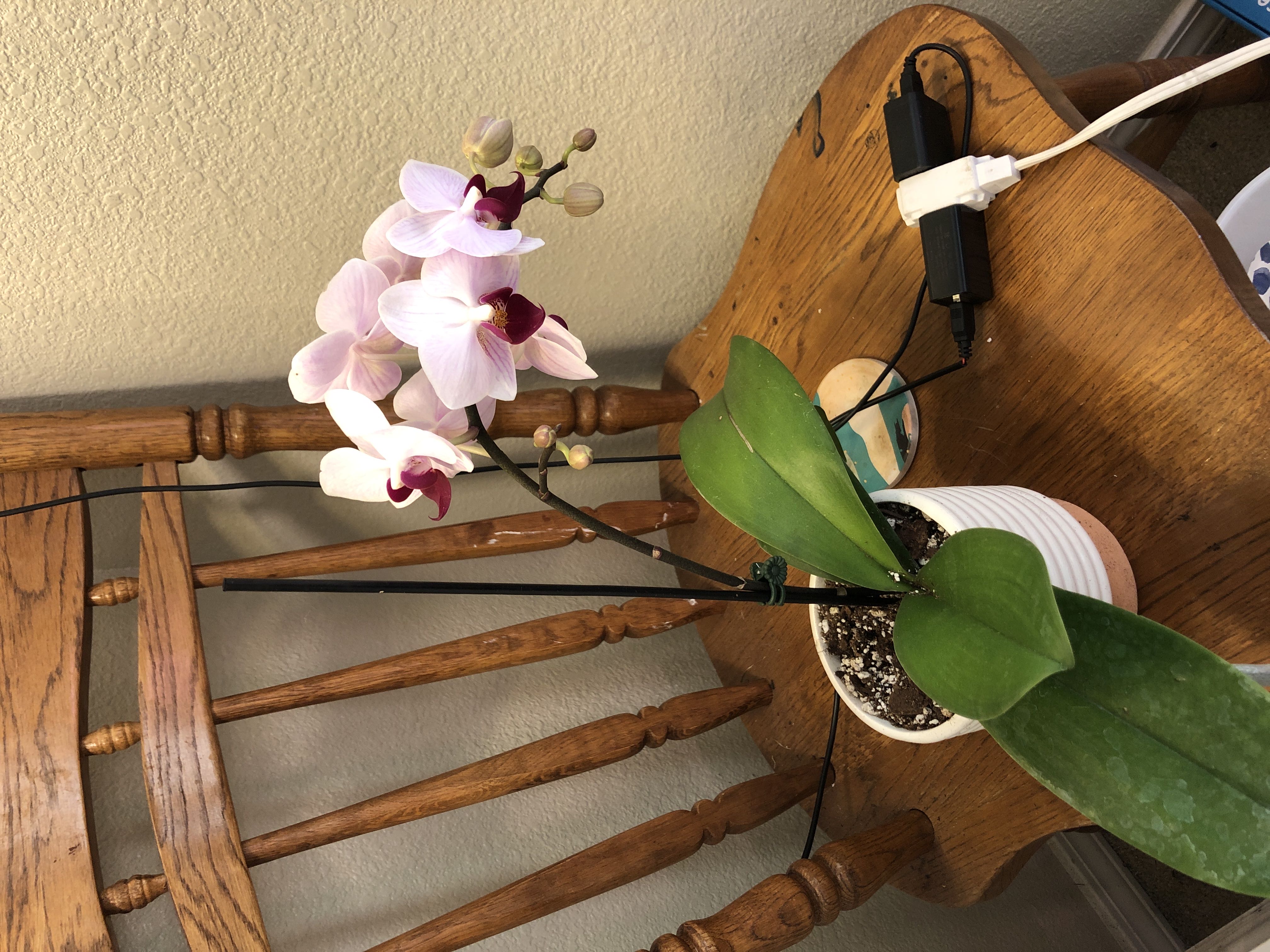 Photo from the post