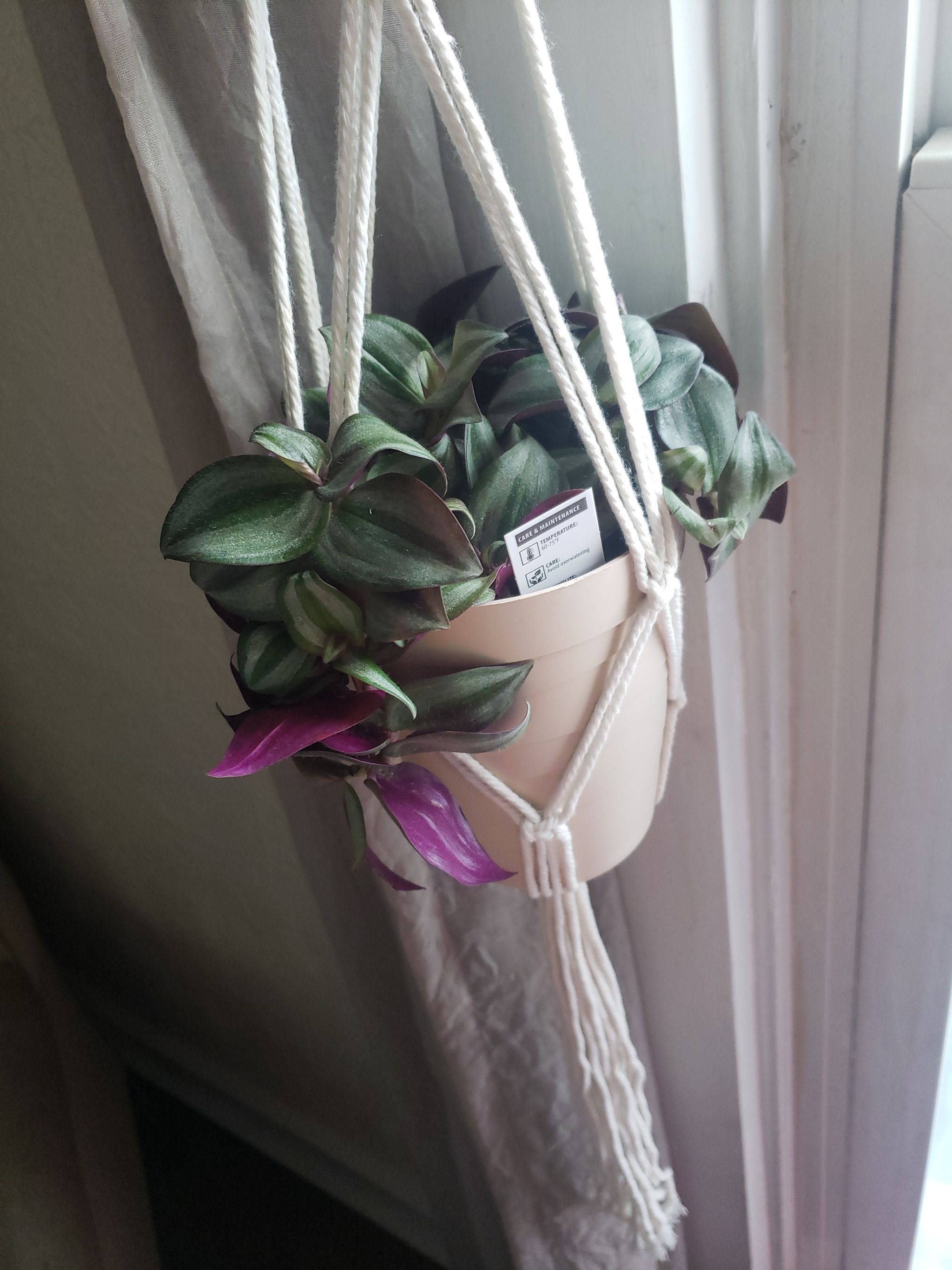 Photo from the post