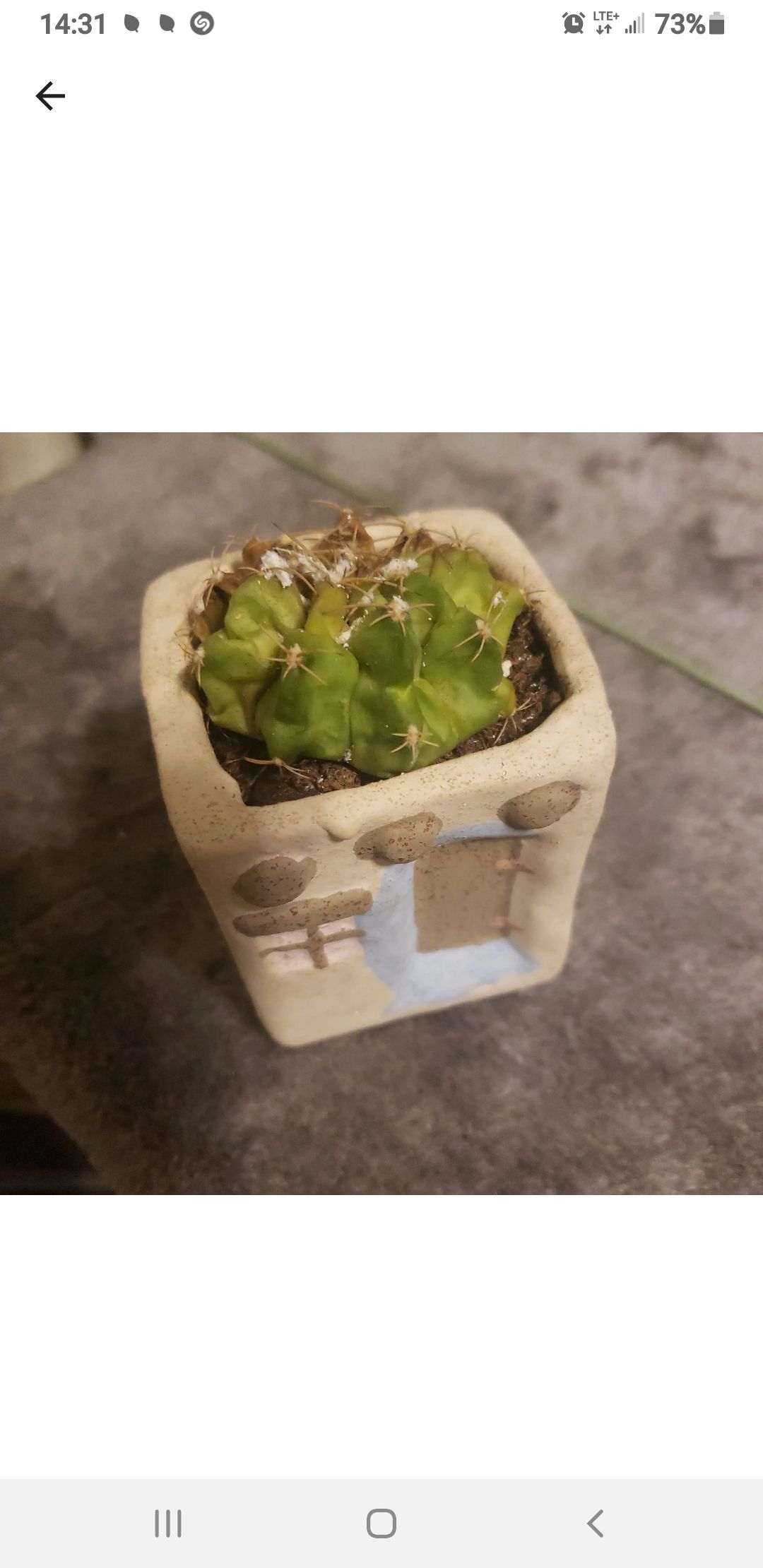 Photo from the post