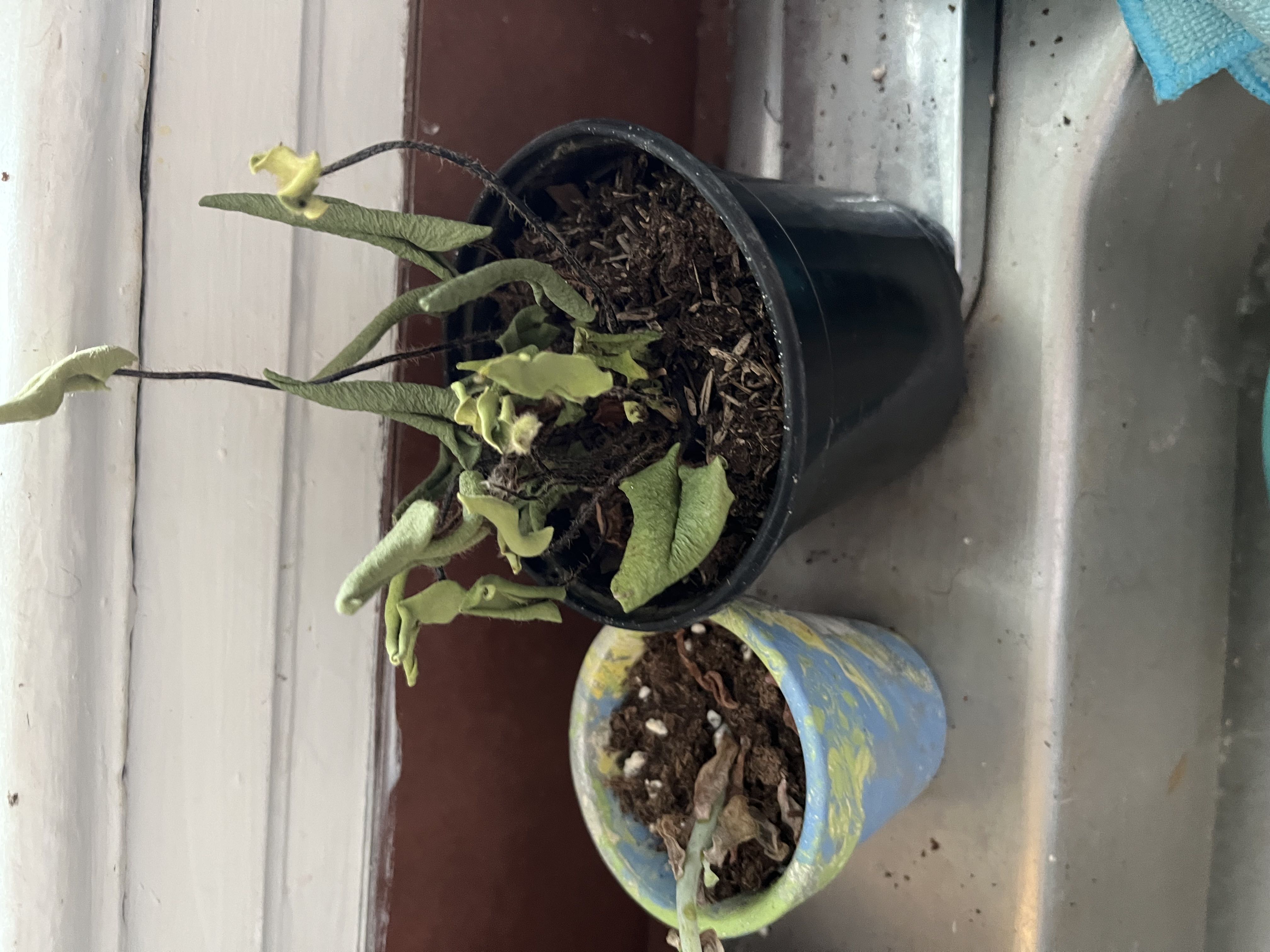Photo from the post