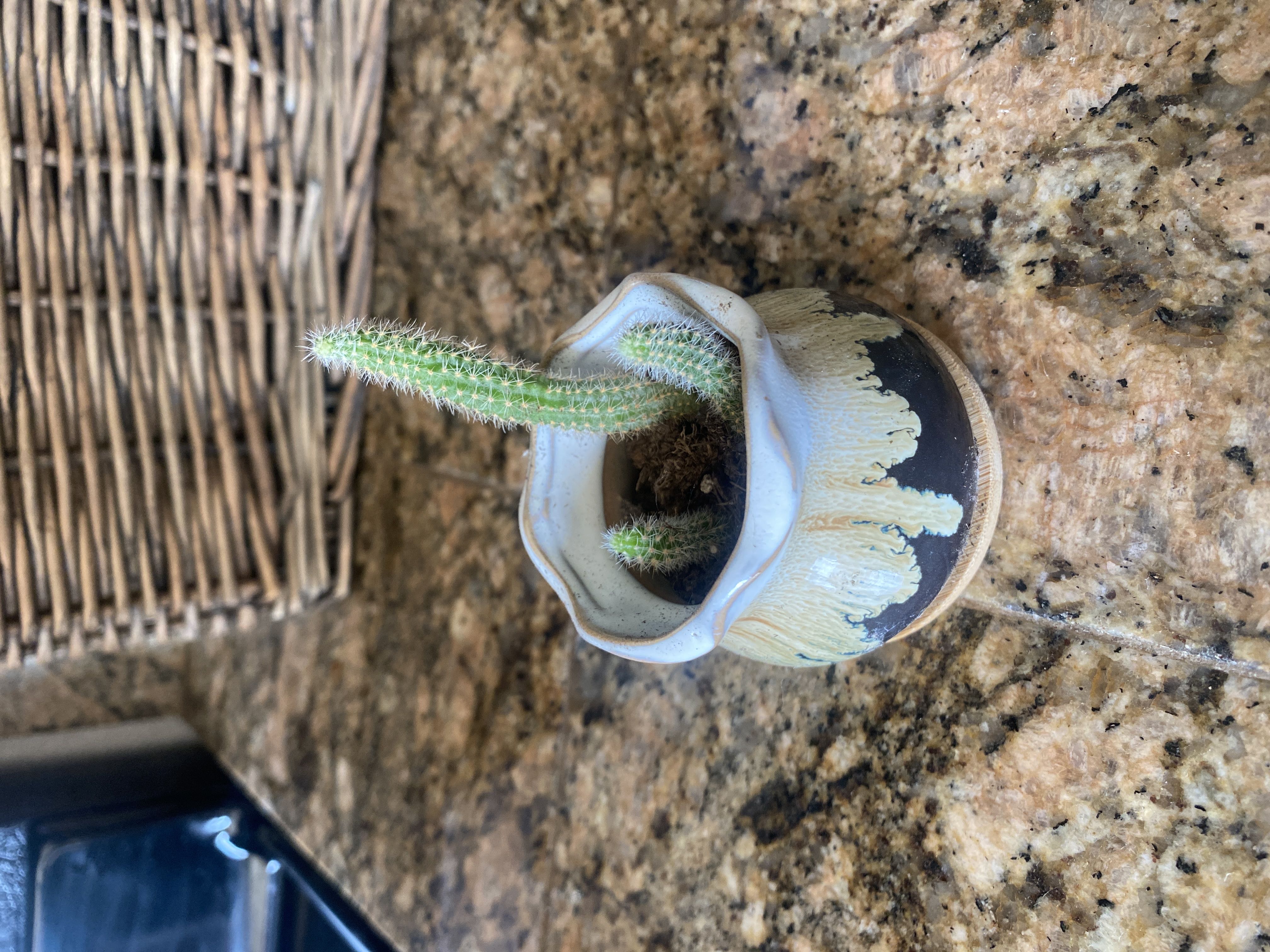 Photo from the post