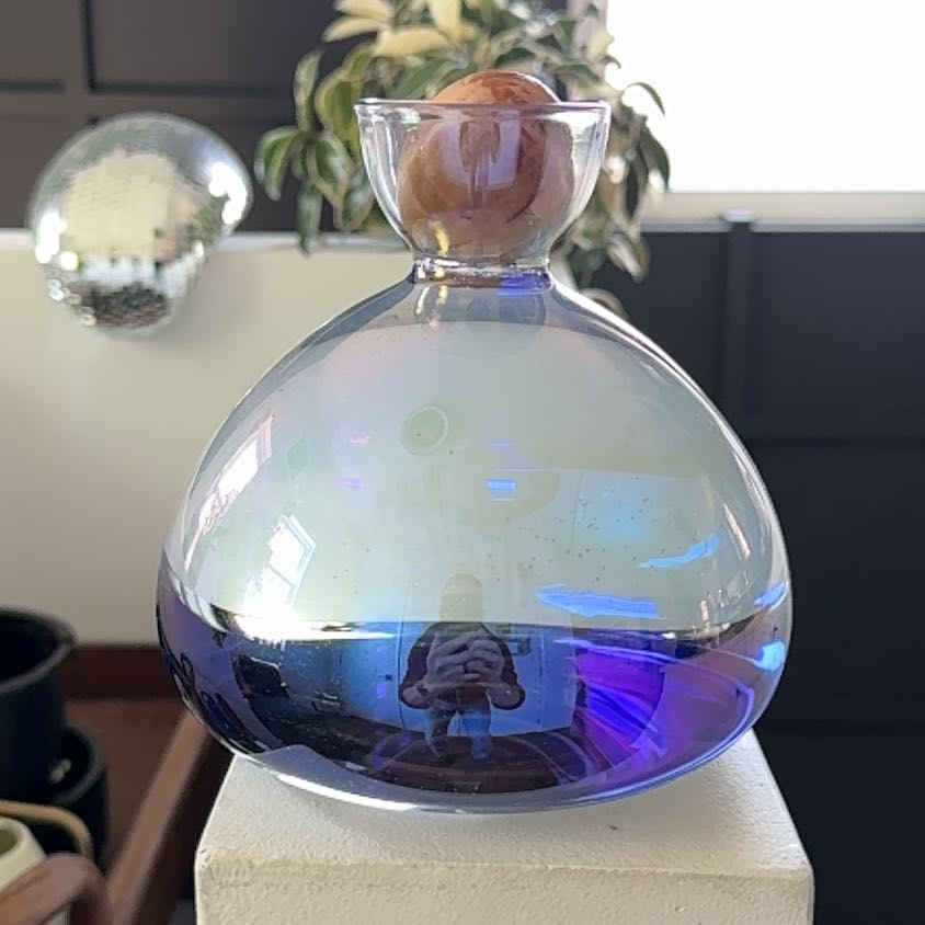 Photo of the plant species Hass Avocado by @chrismessina named Marley on Greg, the plant care app