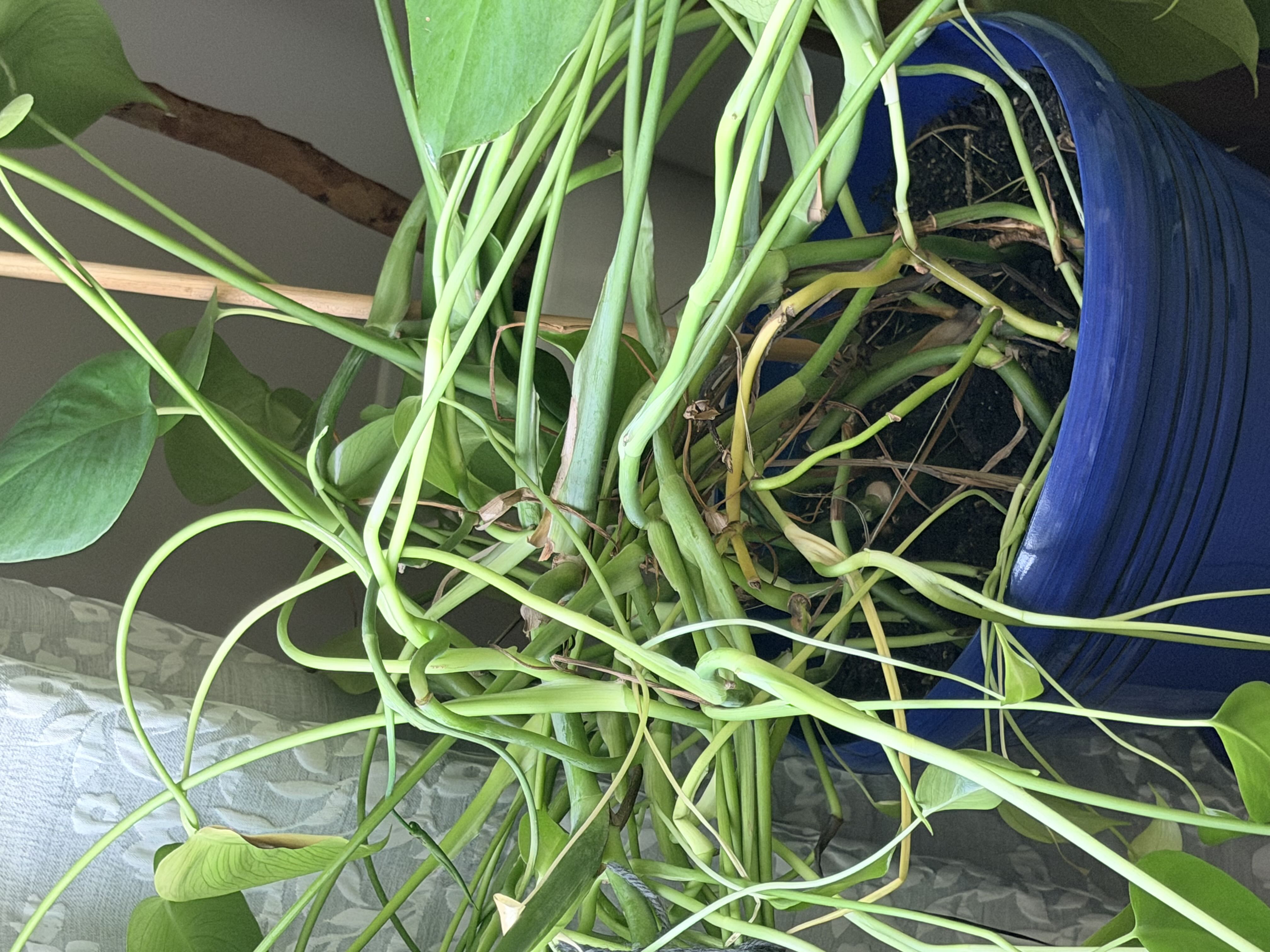 Photo from the post