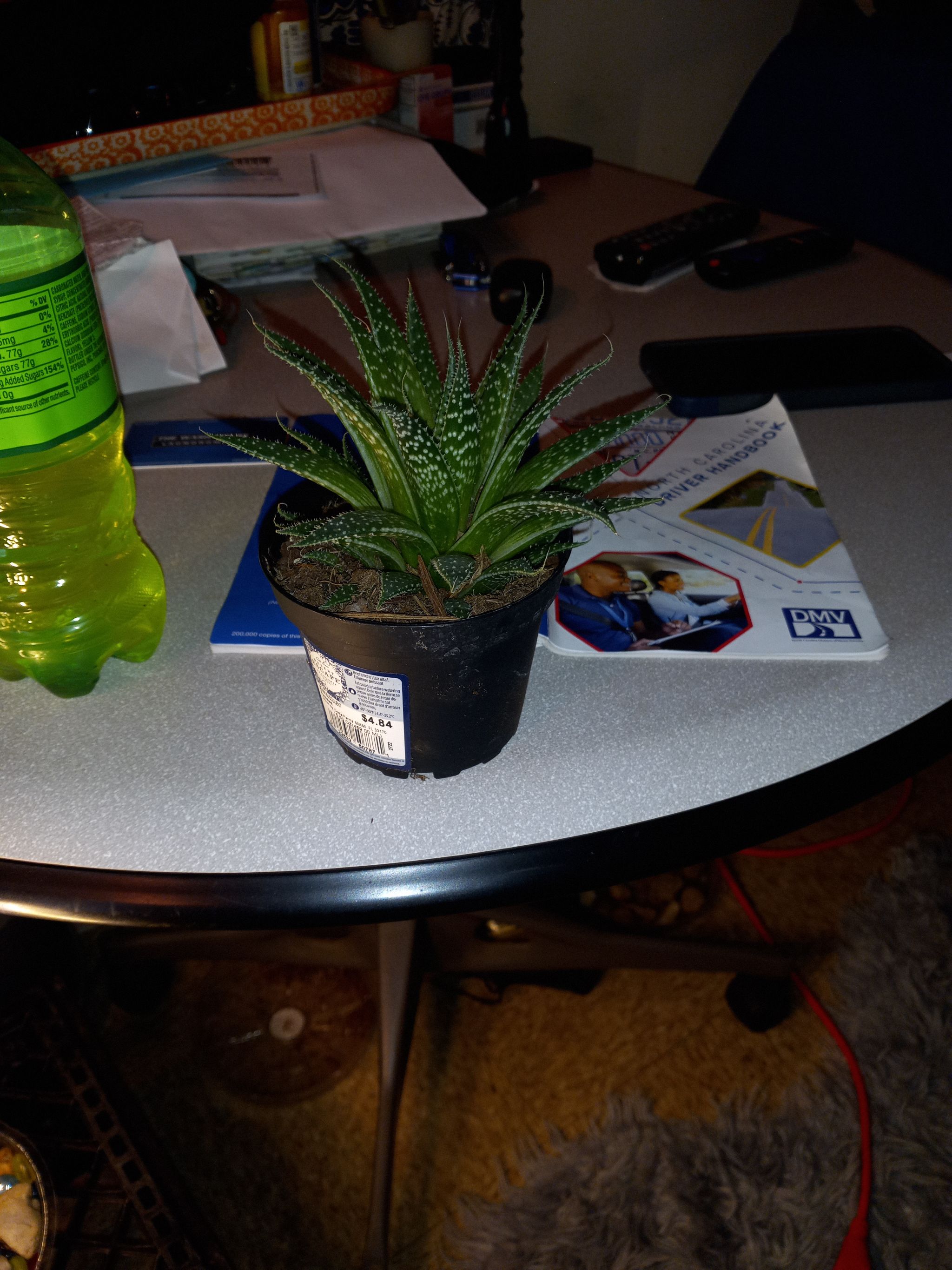 Photo from the post