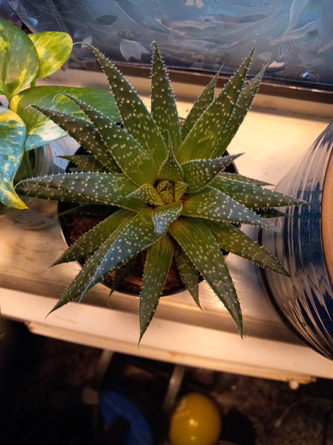 Photo from the post
