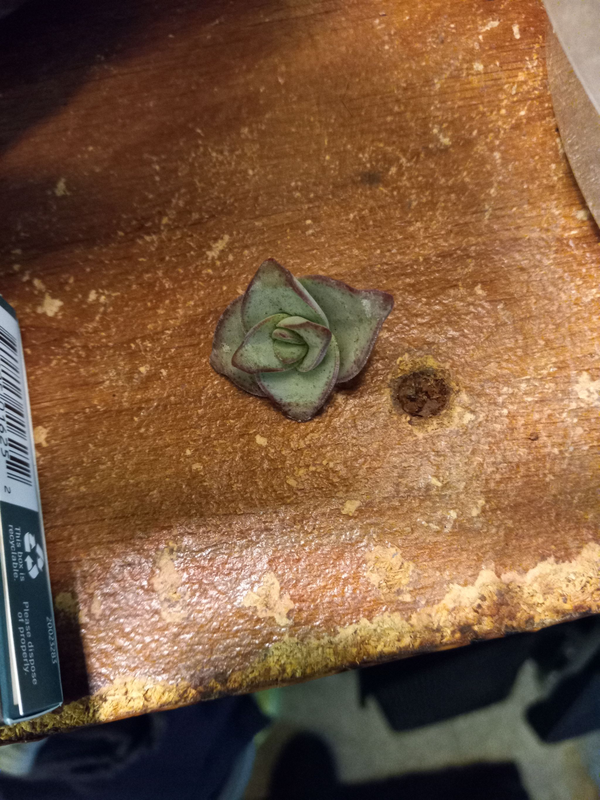 Photo from the post