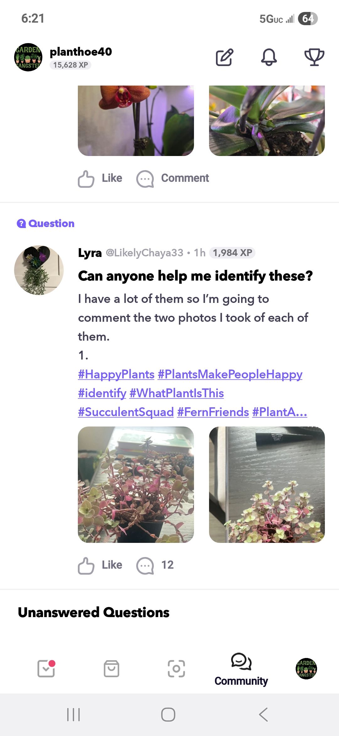 Photo from the post