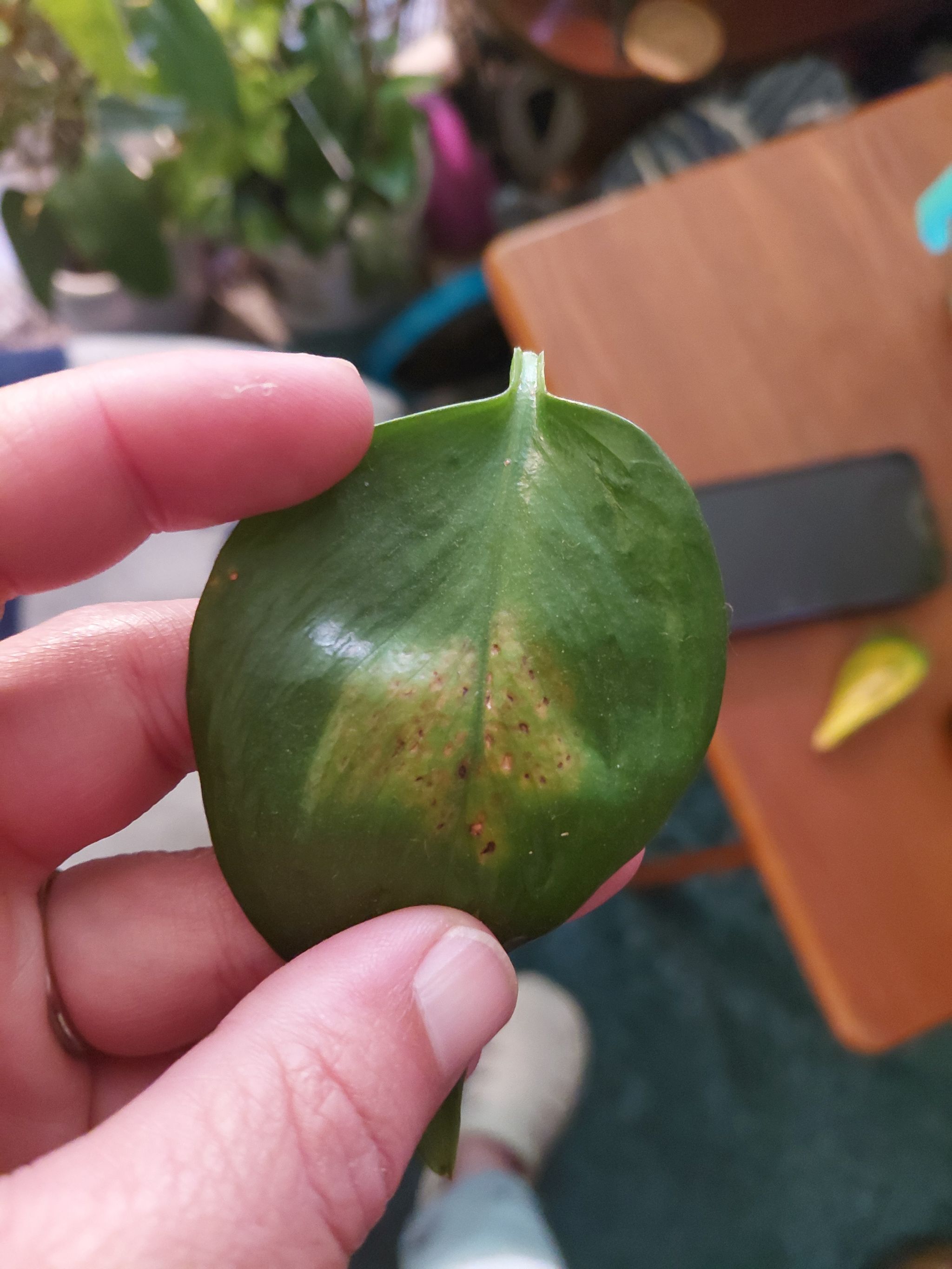 Photo from the post
