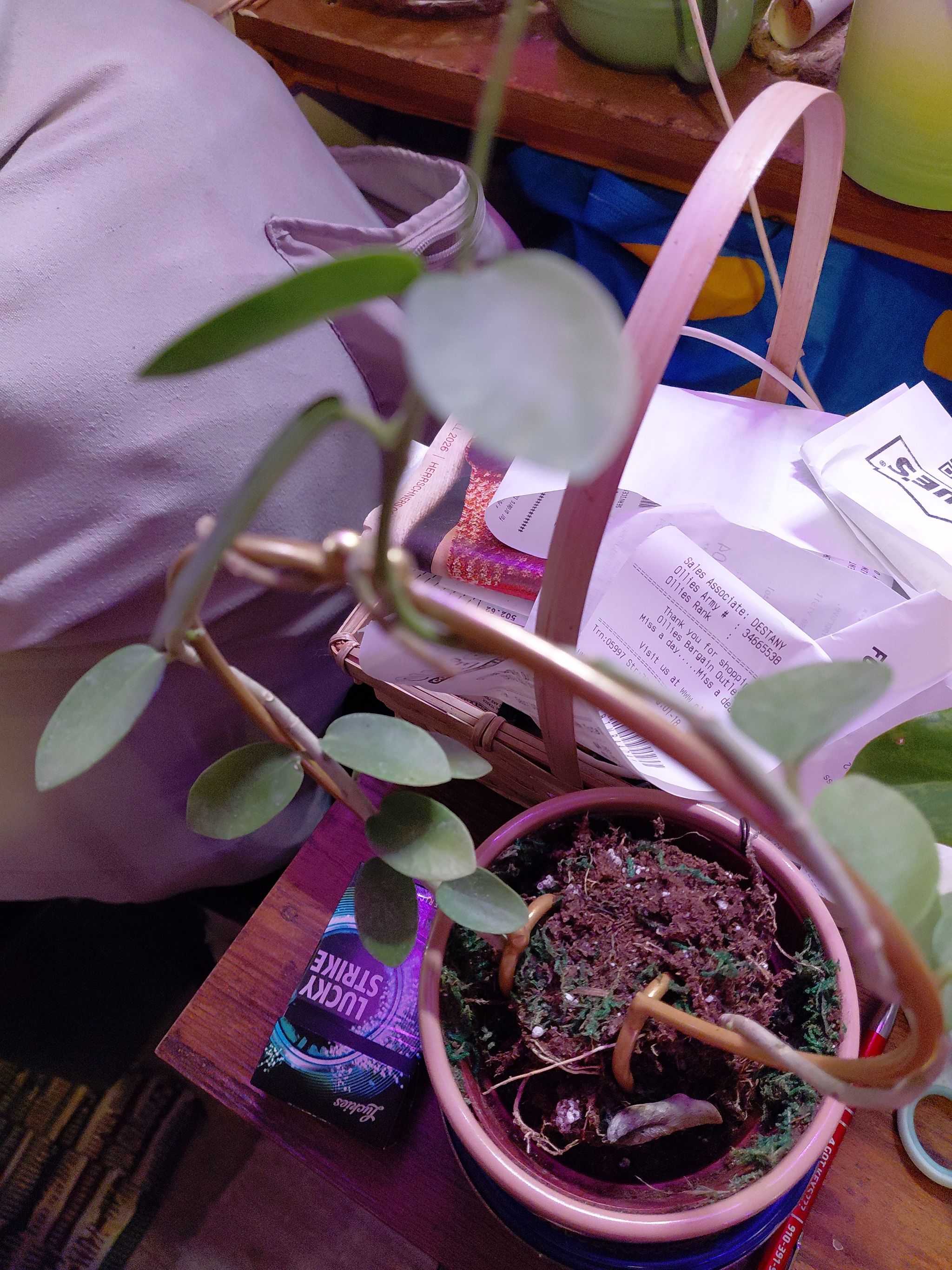 Photo from the post
