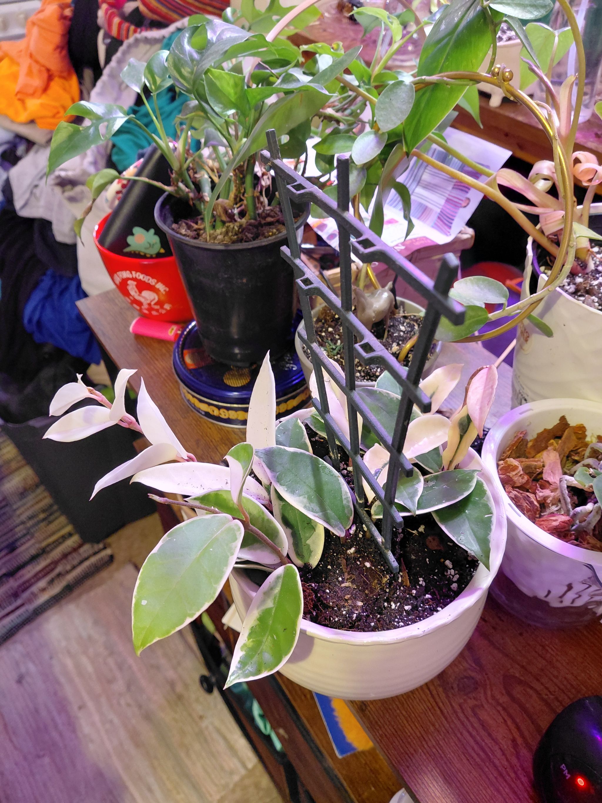 Photo from the post