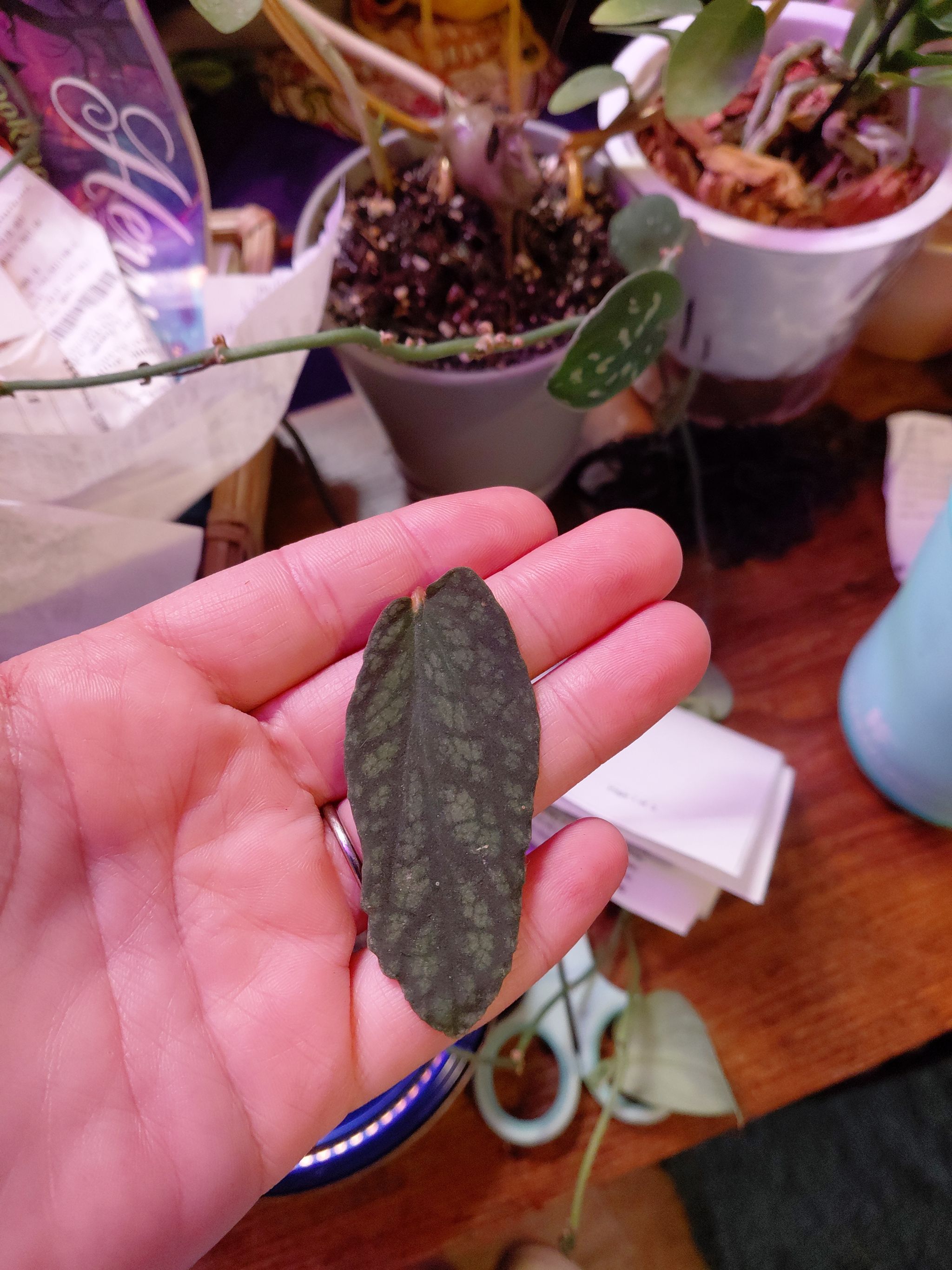 Photo from the post