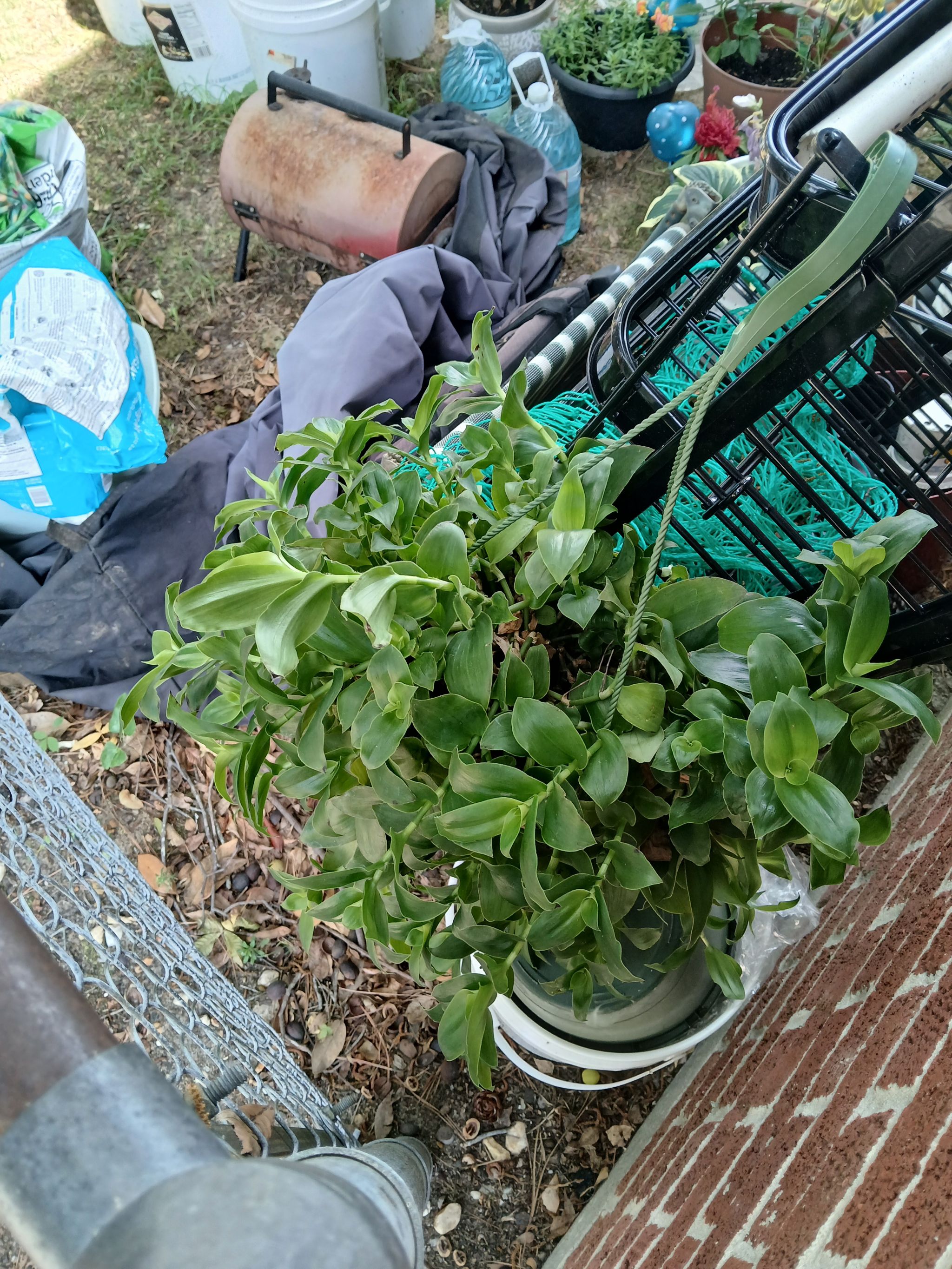 Photo from the post