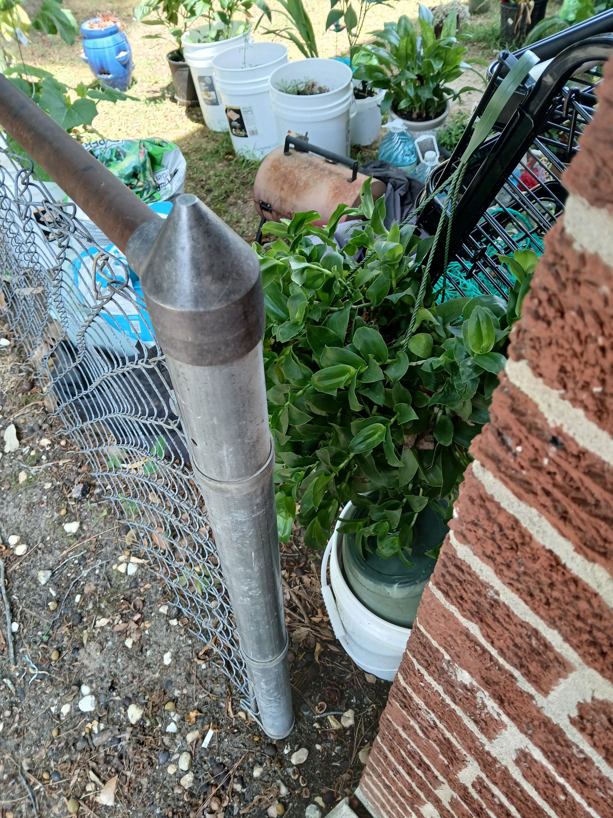 Photo from the post