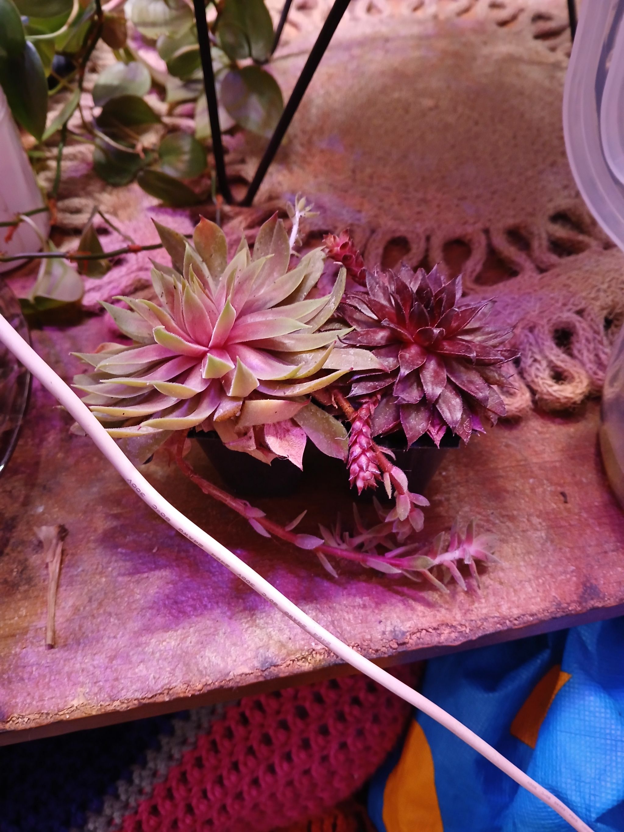 Photo from the post