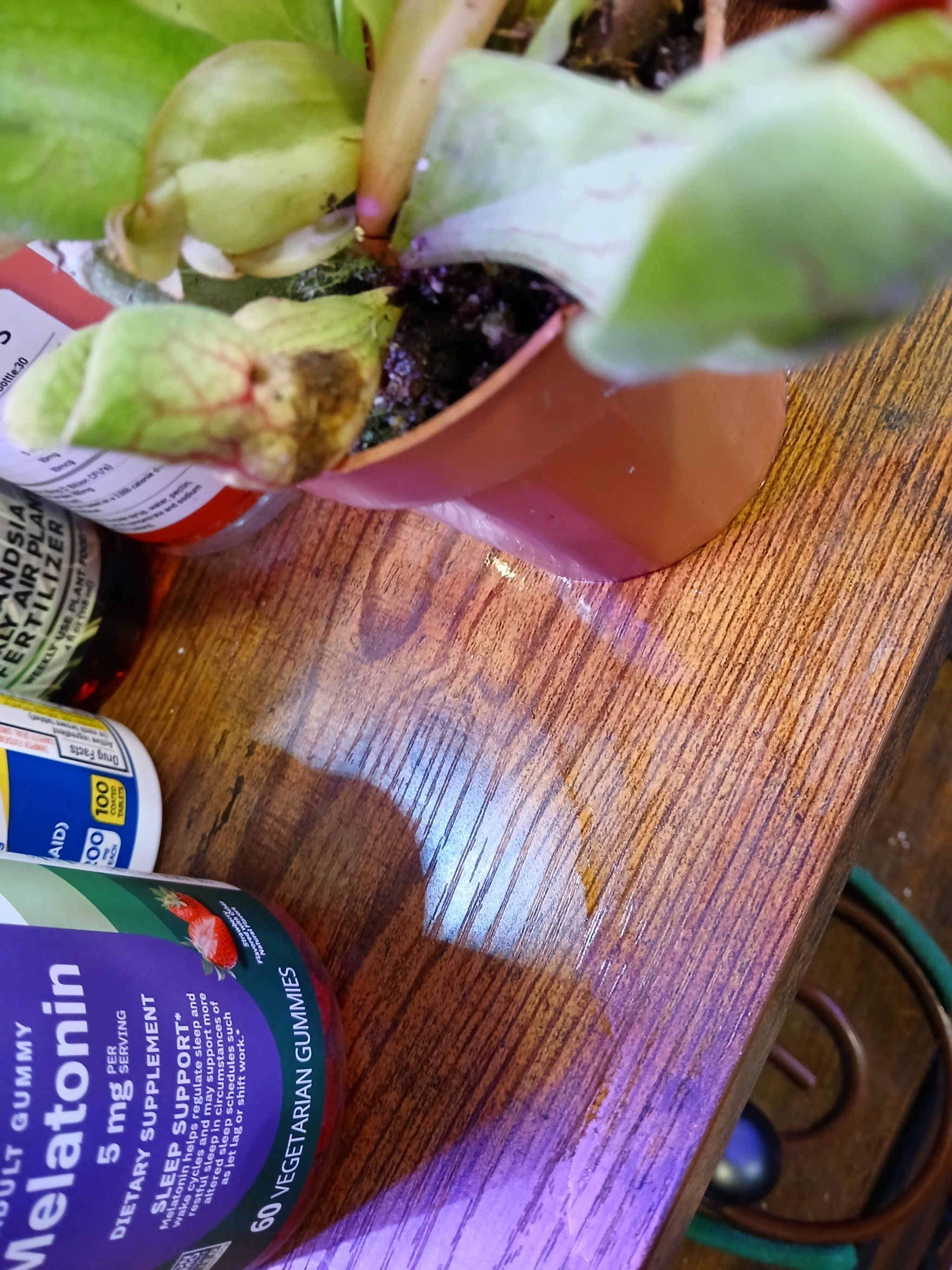 Photo from the post