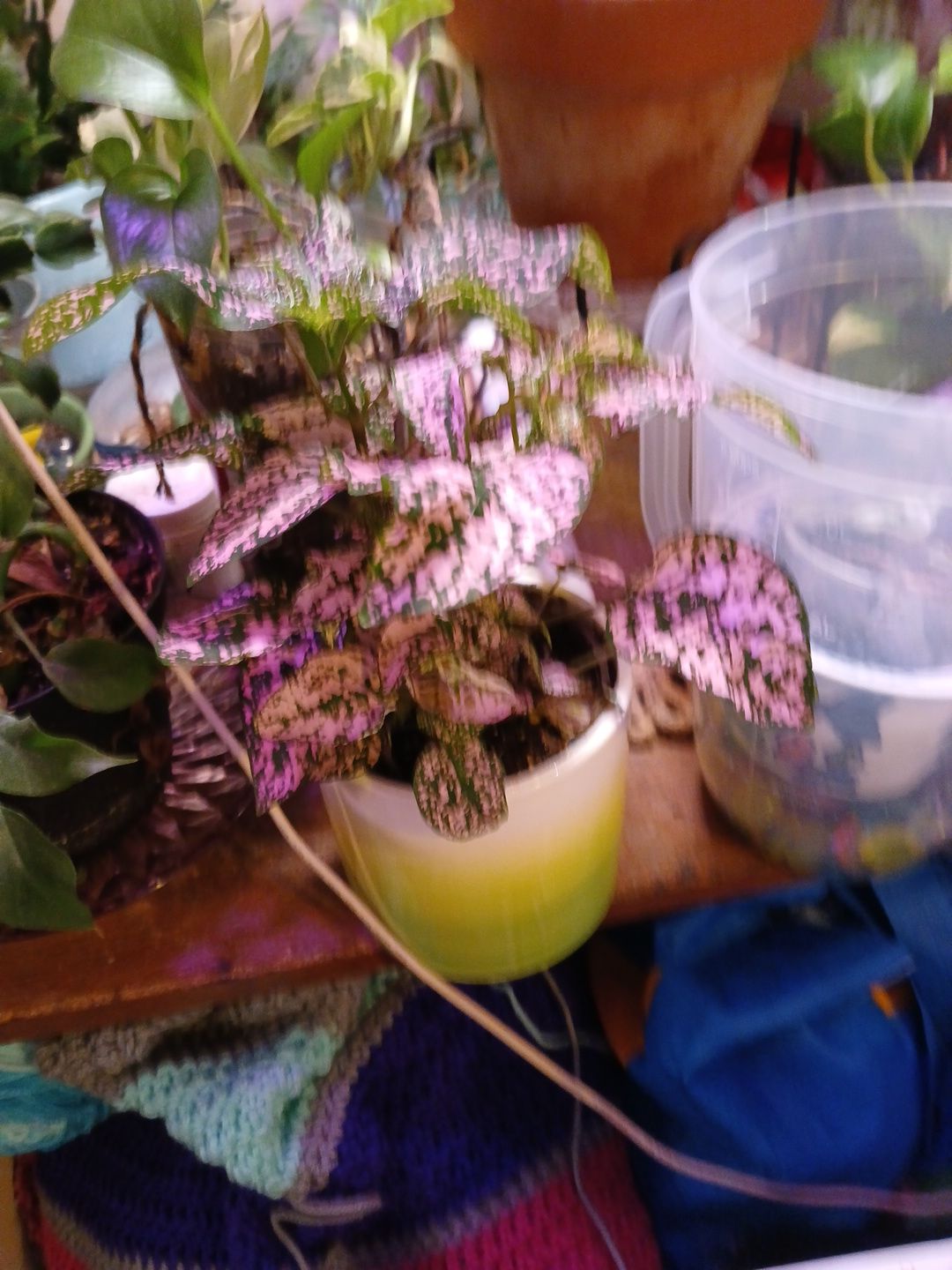 Photo from the post