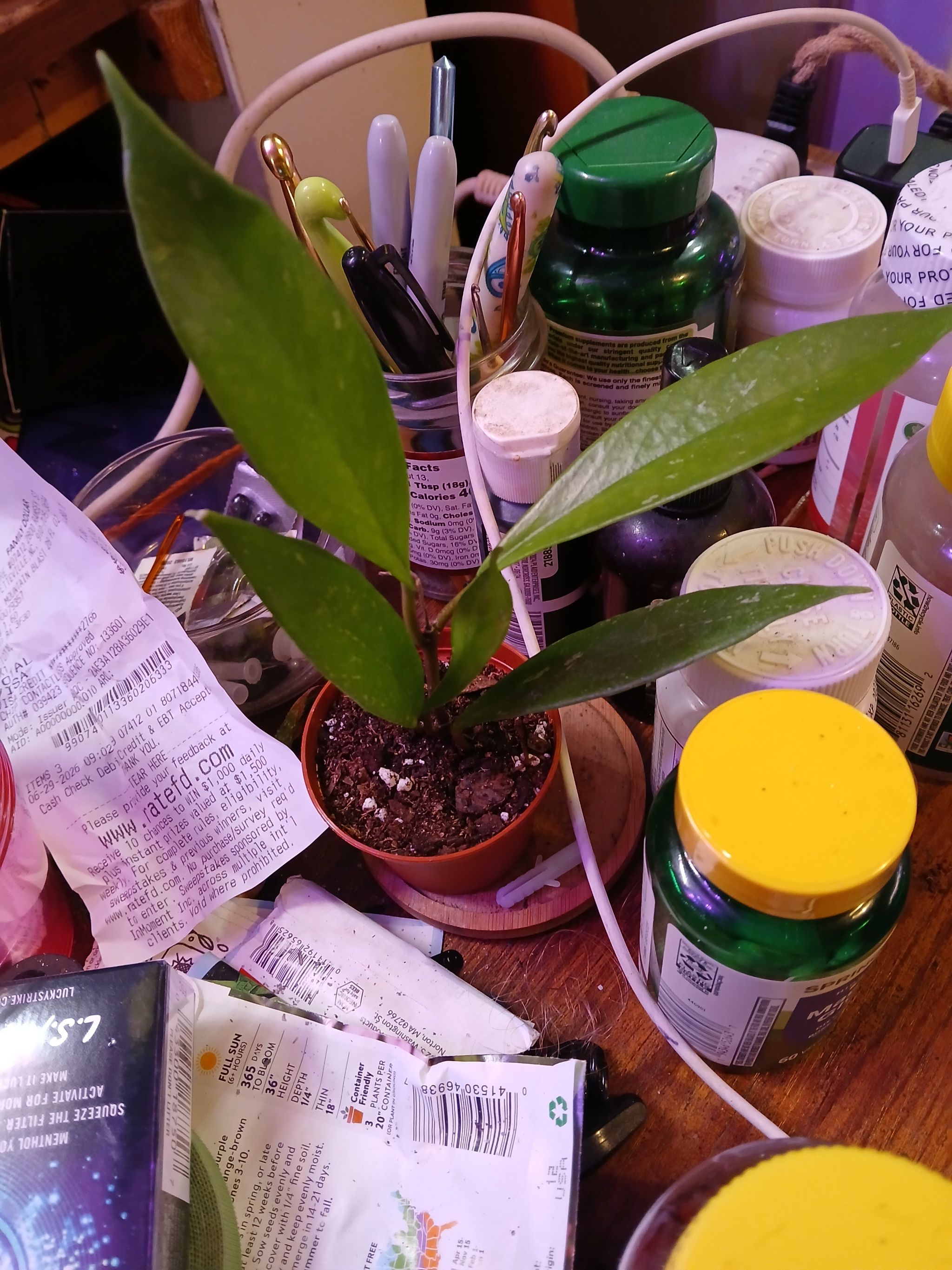 Photo from the post