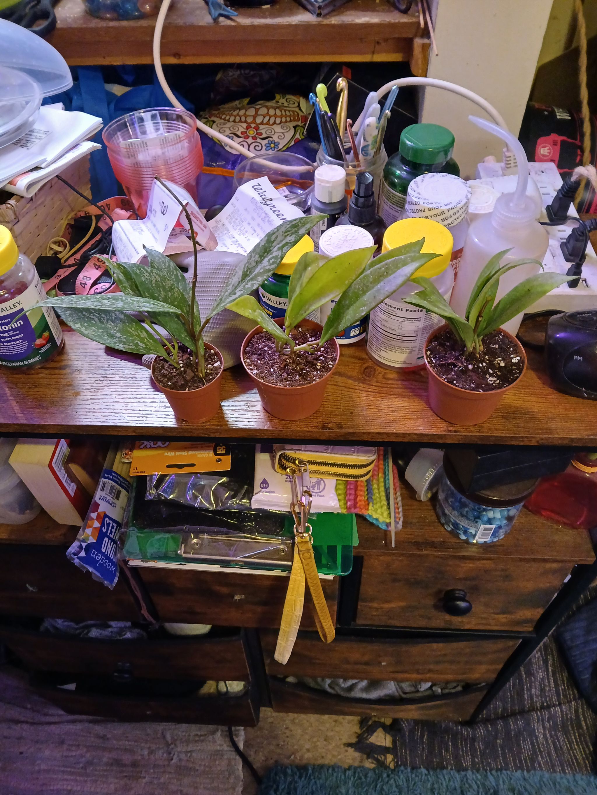 Photo from the post
