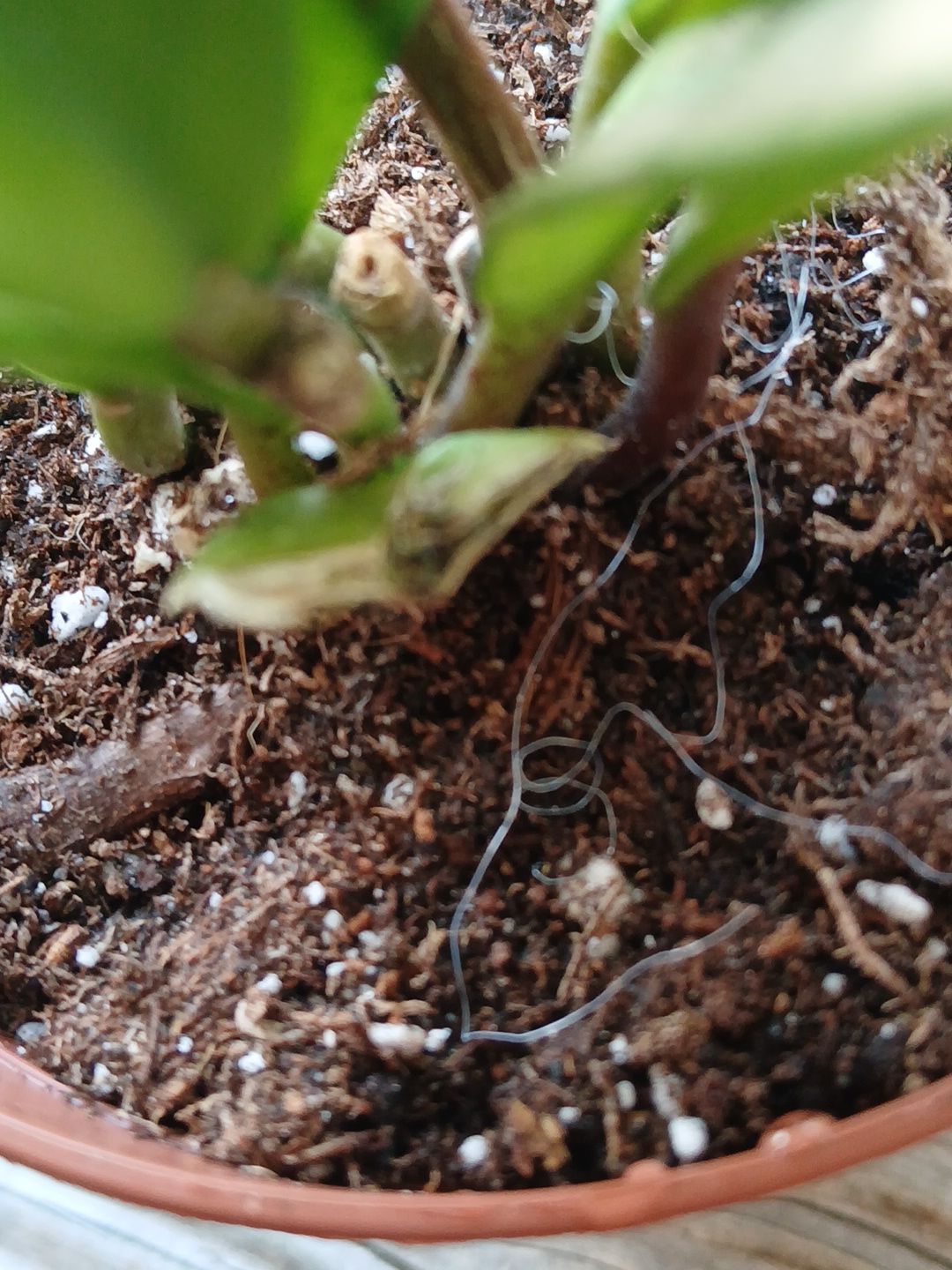 Photo from the post