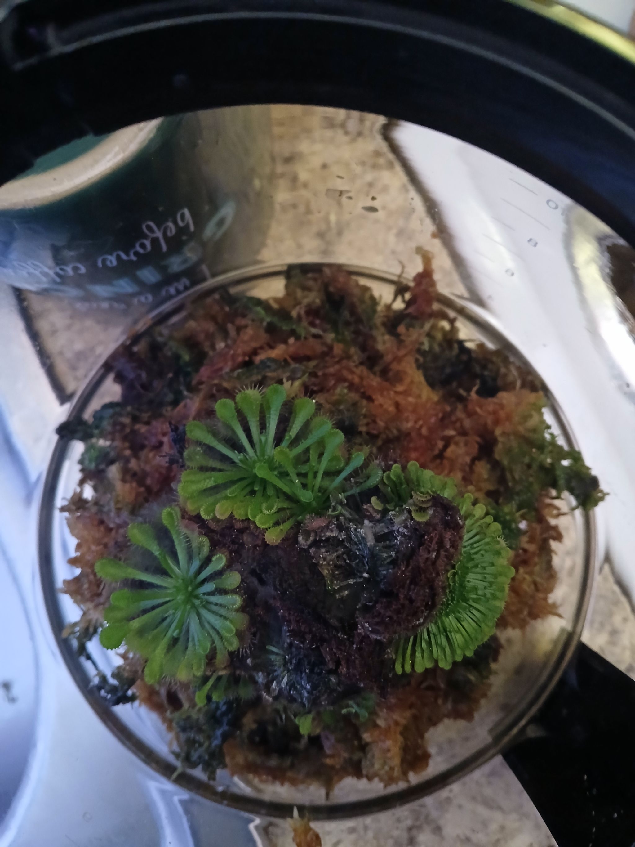 Photo from the post