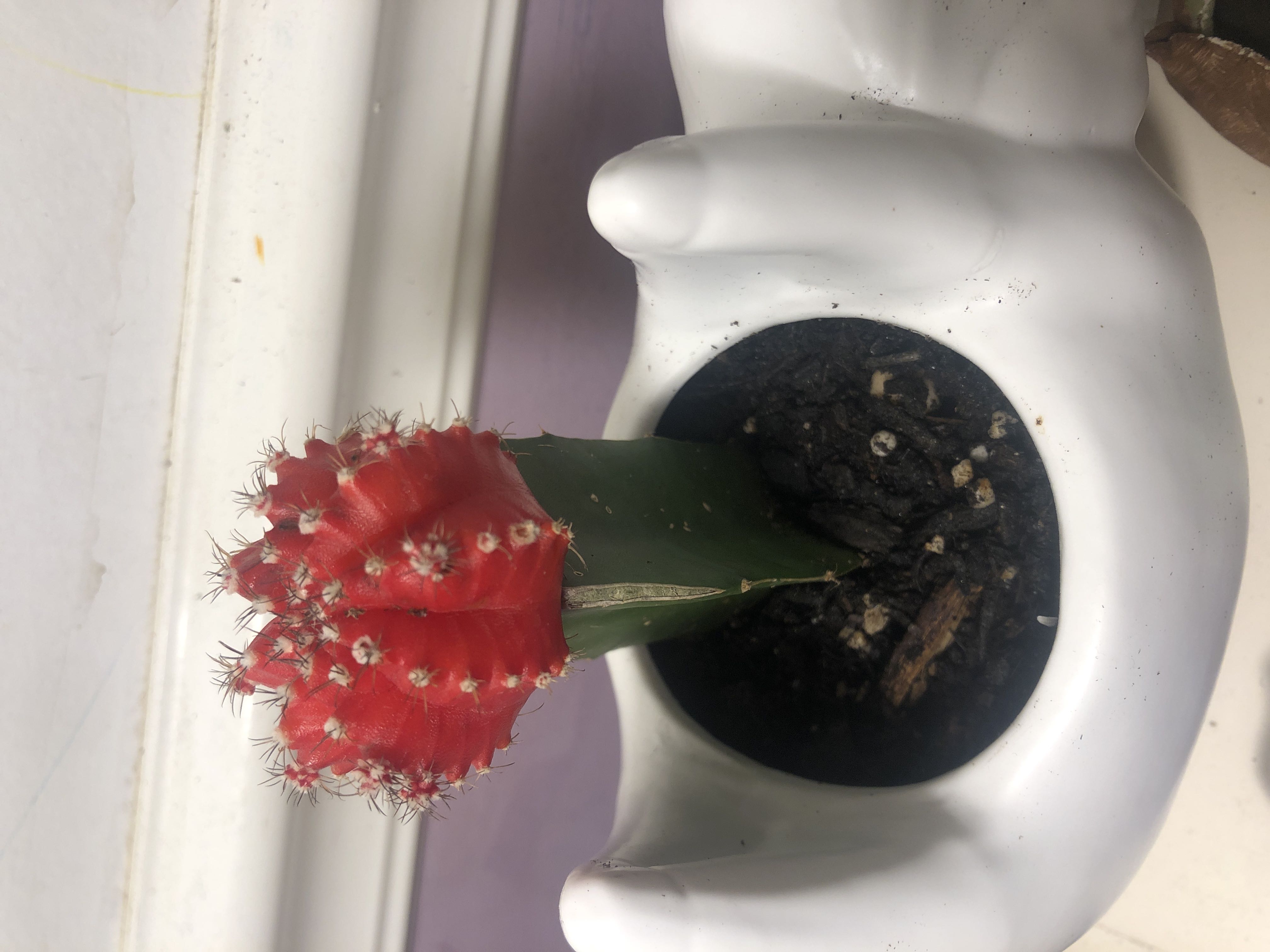 Photo from the post