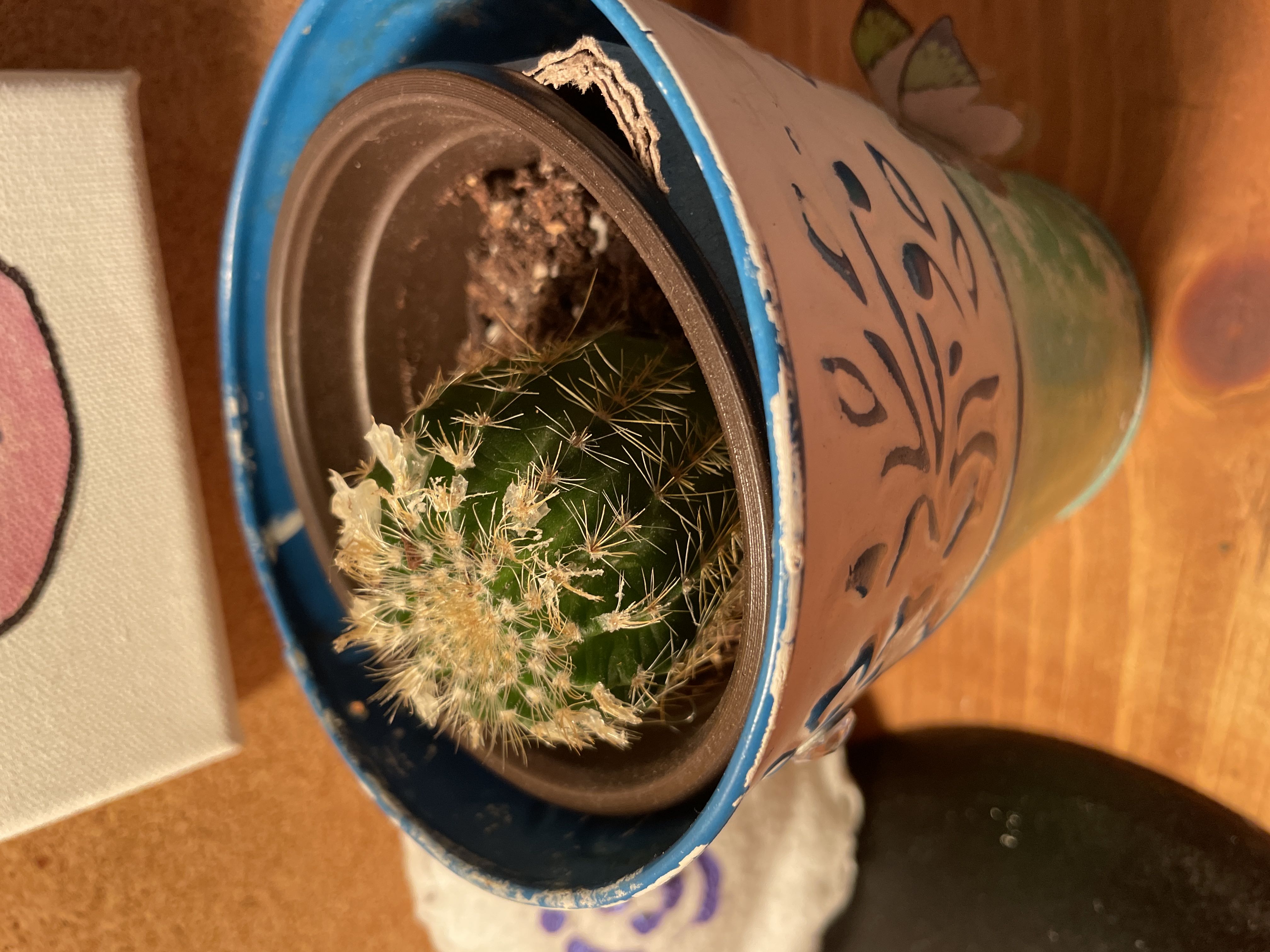 Photo from the post
