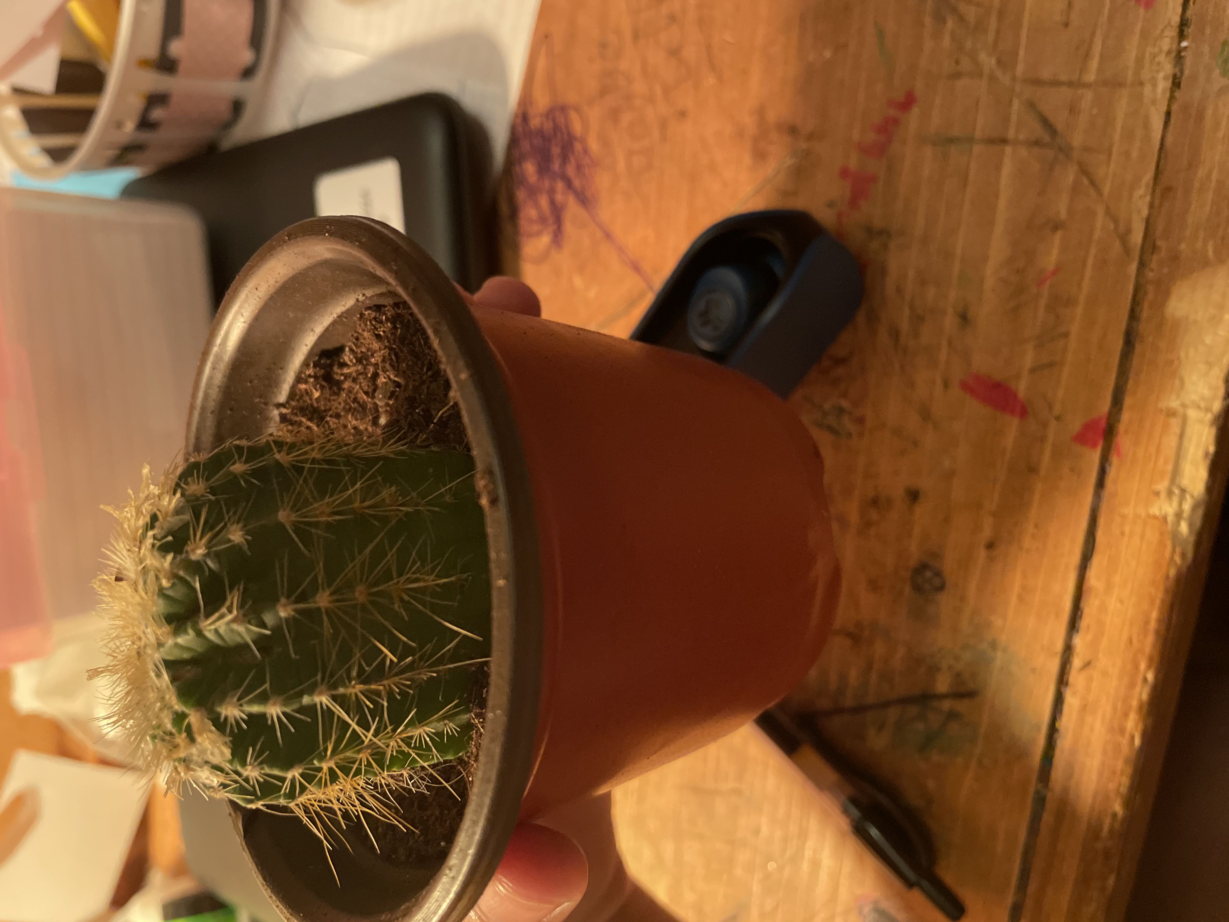 Photo from the post