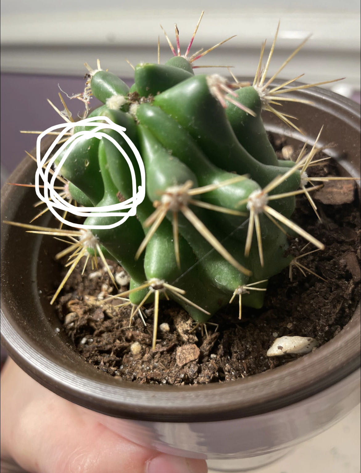 Photo from the post
